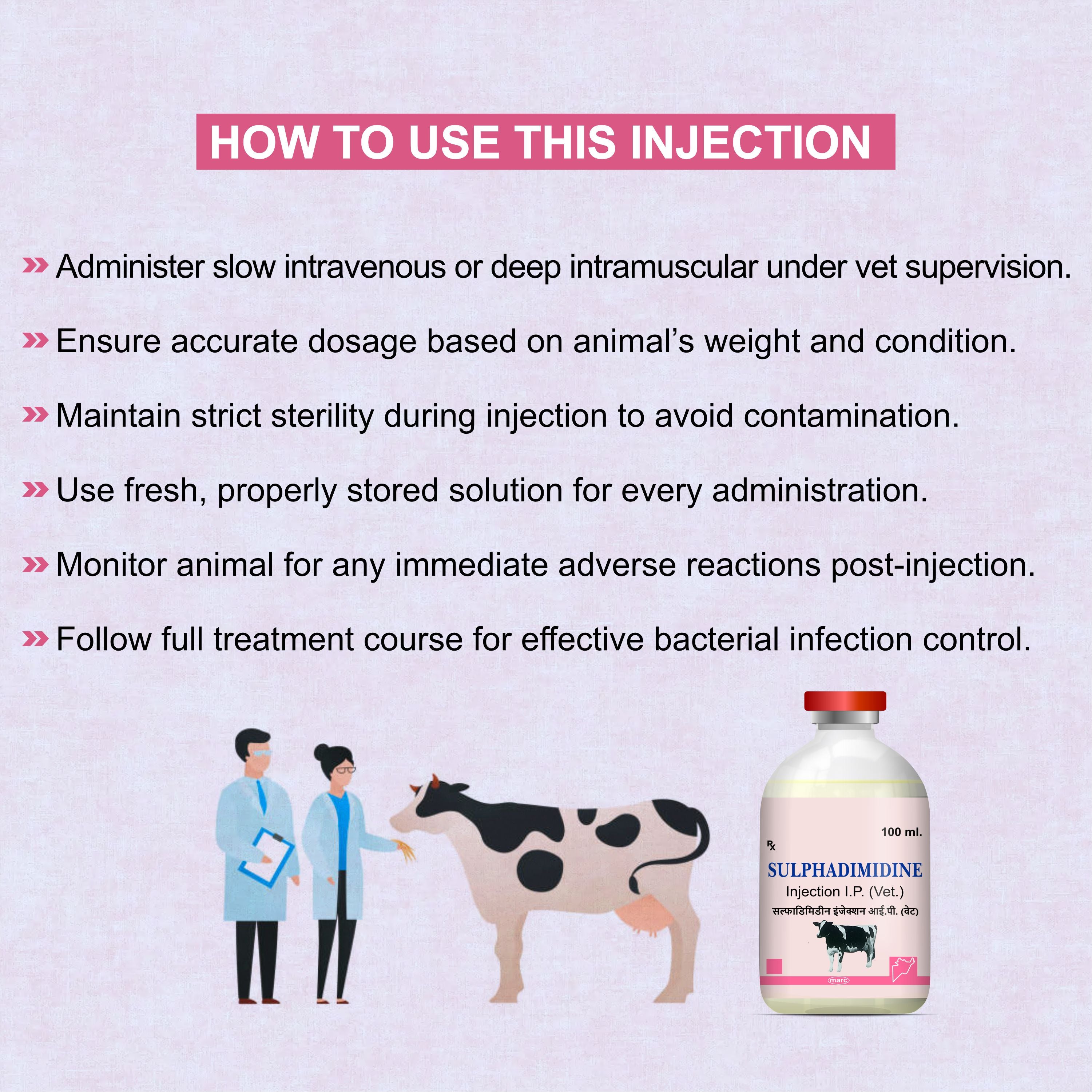 Sulphadimidine Injection 100ml  – Trusted Antibacterial & Antiprotozoal Solution for Livestock