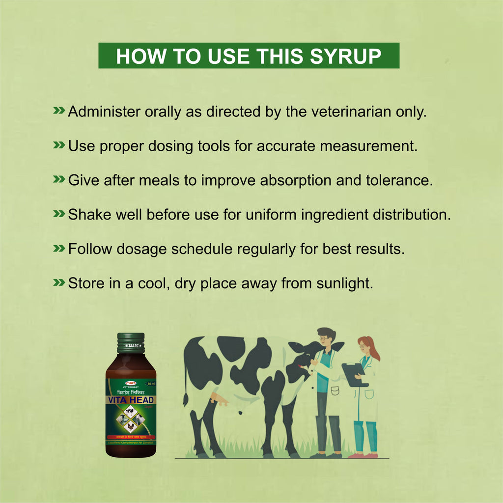 Vita Head Syrup 60ml – Nutritional Veterinary Supplement for Livestock (Pack of 2)