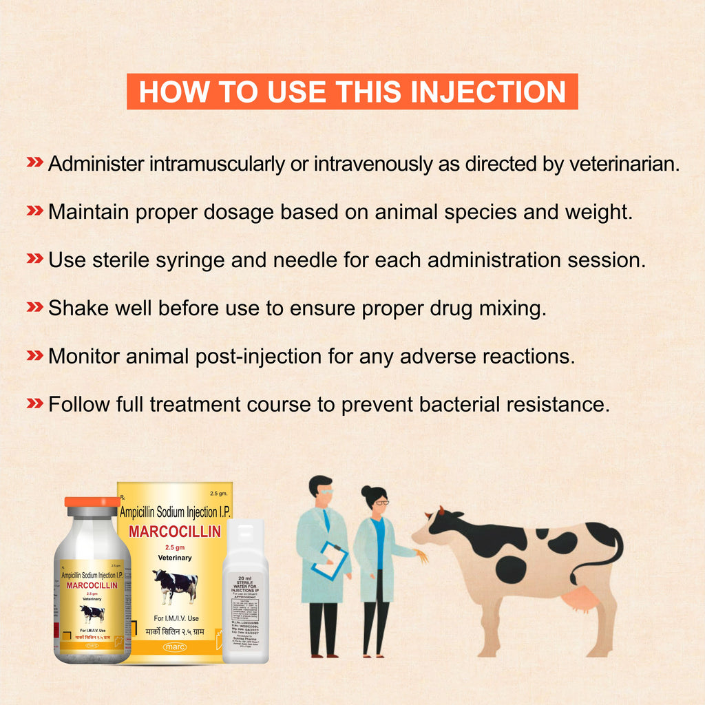Marcocillin Injection 2.5gm Broad-Spectrum Veterinary Antibiotic with Ampicillin for Livestock & Pets (Pack of 3)