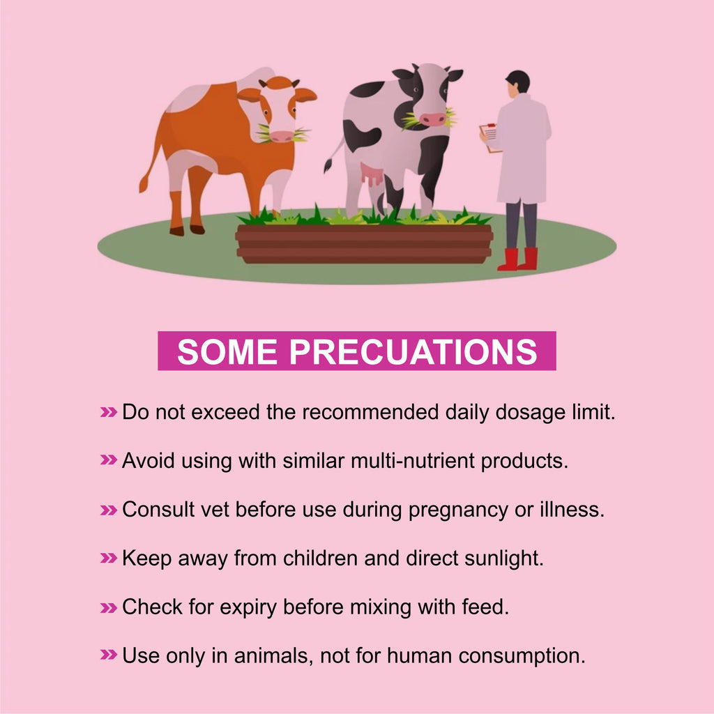 Marc Calvit Gold Powder 1kg – Vitamin, Mineral & Probiotic Tonic for Livestock