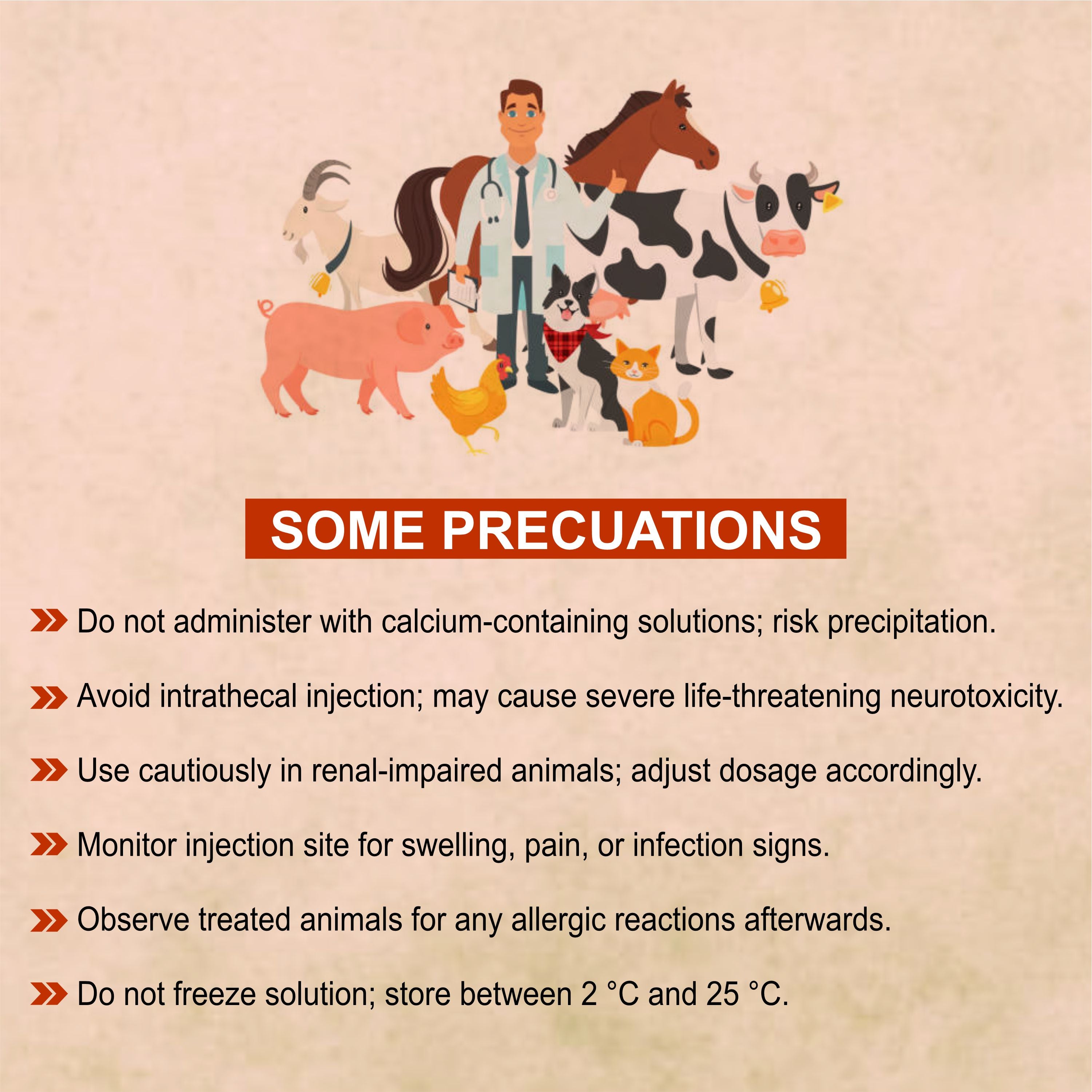 Ceftocid Injection 3GM – Broad Spectrum Ceftriaxone Antibiotic for Livestock Infections