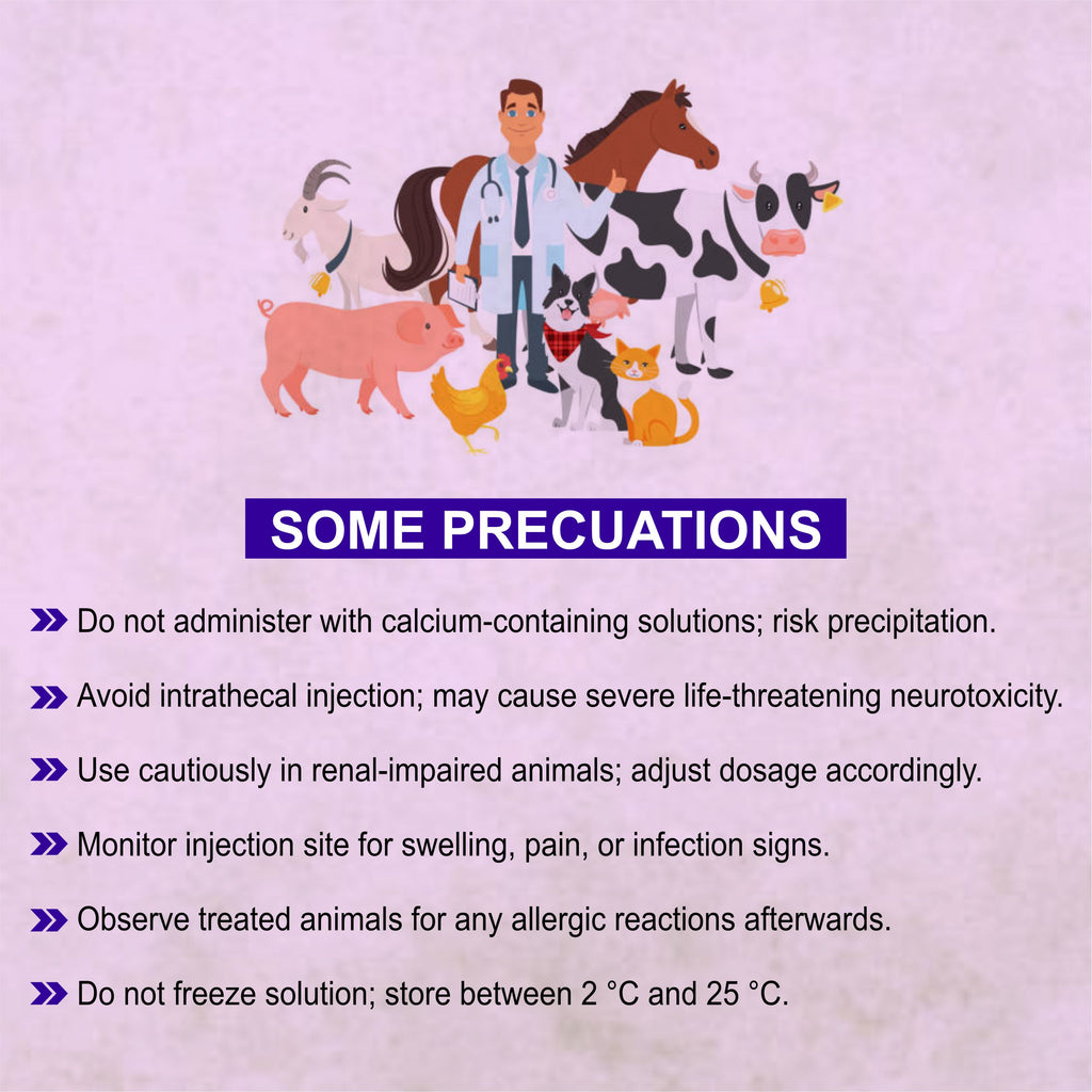 Ceftocid Injection 4GM – Broad-Spectrum Antibiotic Solution for Livestock Infections