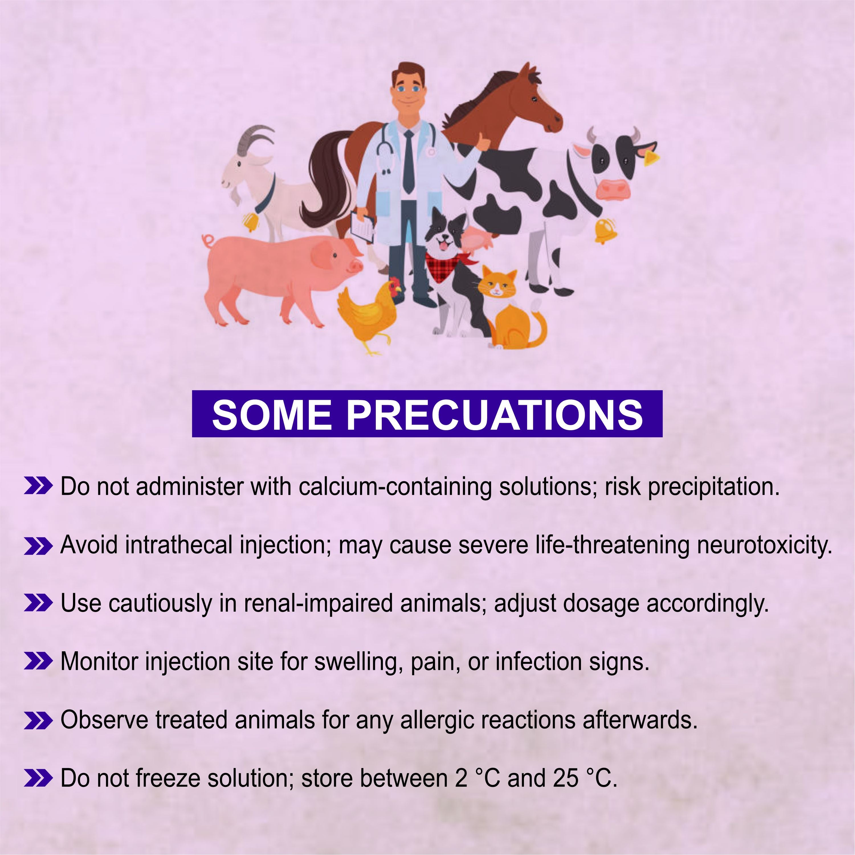 Ceftocid Injection 4GM – Broad-Spectrum Antibiotic Solution for Livestock Infections