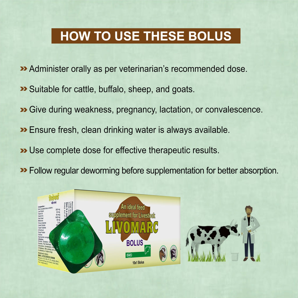 Marc Livomarc Bolus – Veterinary Liver Tonic & Digestive Supplement for Cattle, Buffaloes, Goats & Sheep