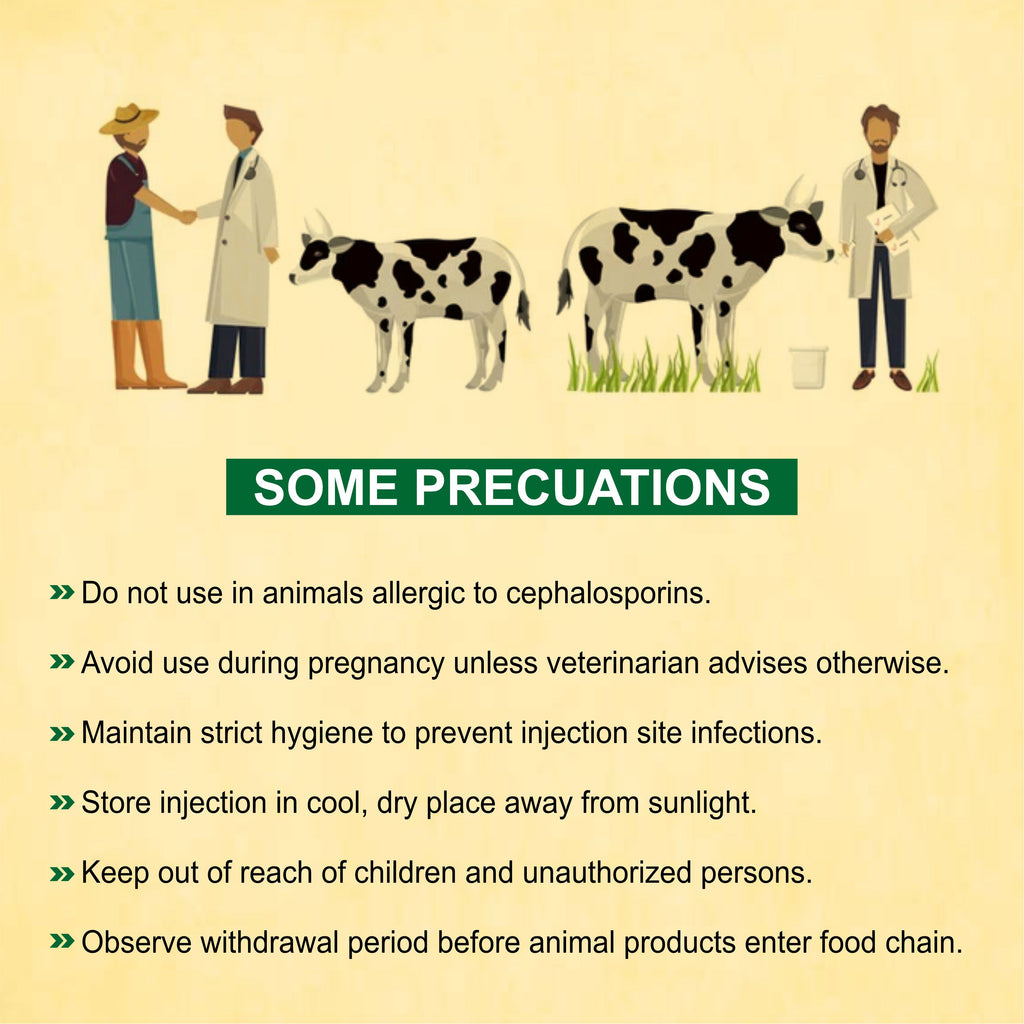 Marcfur Injection 1Gm – Powerful Broad-Spectrum Veterinary Antibiotic with Ceftiofur