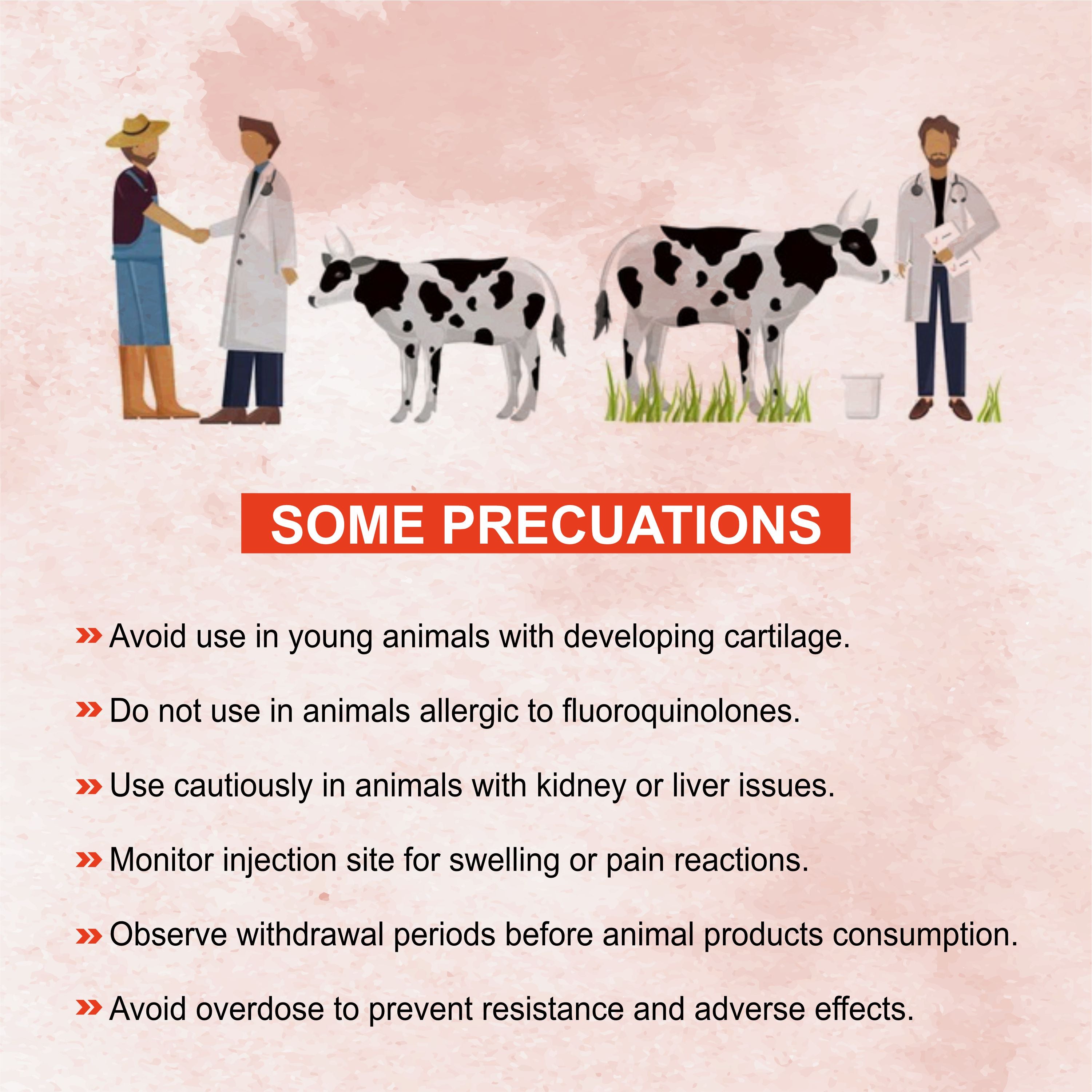 Marc Marcoflox Injection 100ml – Trusted Enrofloxacin Antibiotic for Powerful Veterinary Infection Control