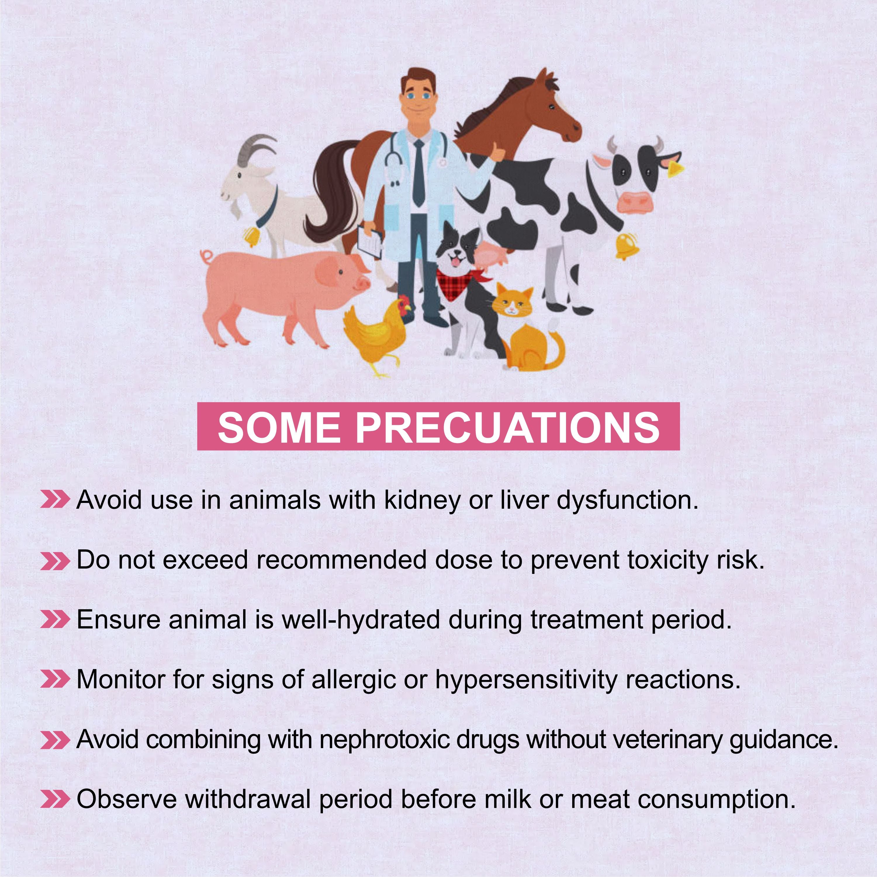 Sulphadimidine Injection 100ml  – Trusted Antibacterial & Antiprotozoal Solution for Livestock
