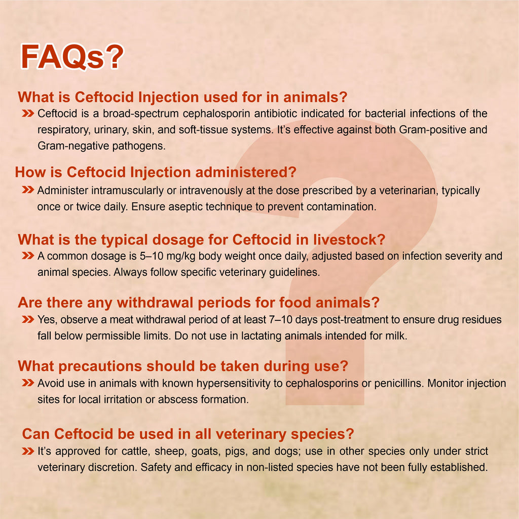 Ceftocid Injection 3GM – Broad Spectrum Ceftriaxone Antibiotic for Livestock Infections