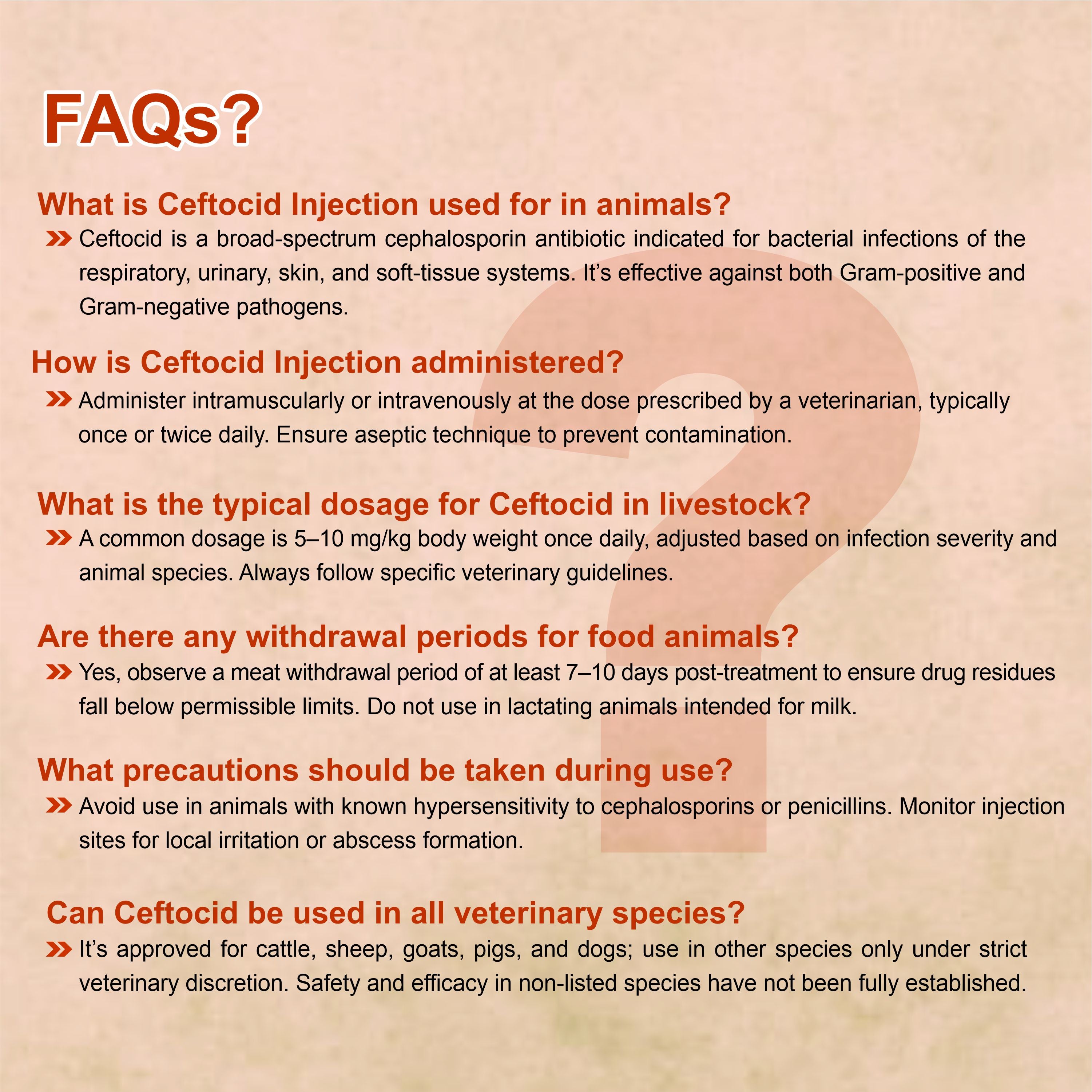 Ceftocid Injection 3GM – Broad Spectrum Ceftriaxone Antibiotic for Livestock Infections