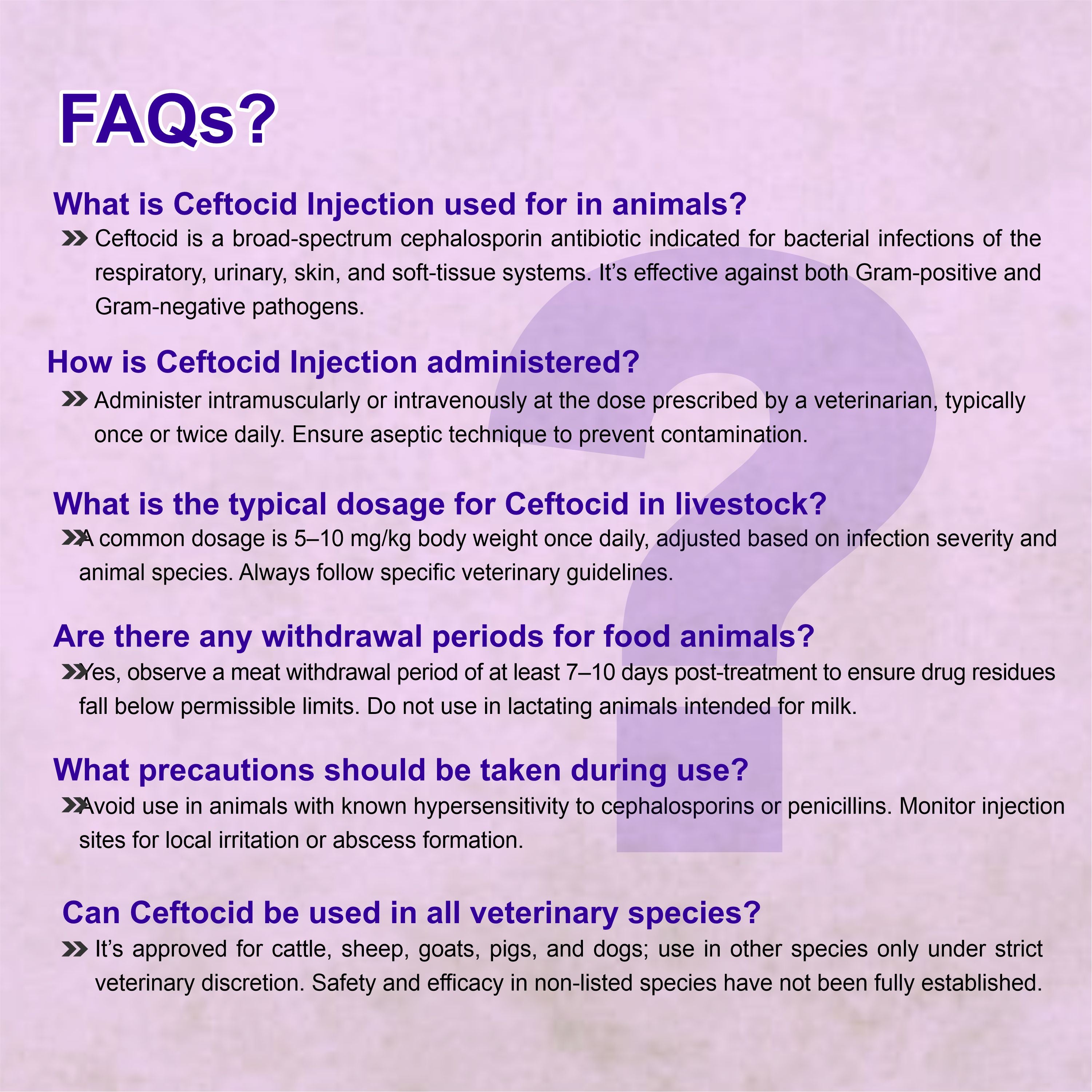Ceftocid Injection 4GM – Broad-Spectrum Antibiotic Solution for Livestock Infections