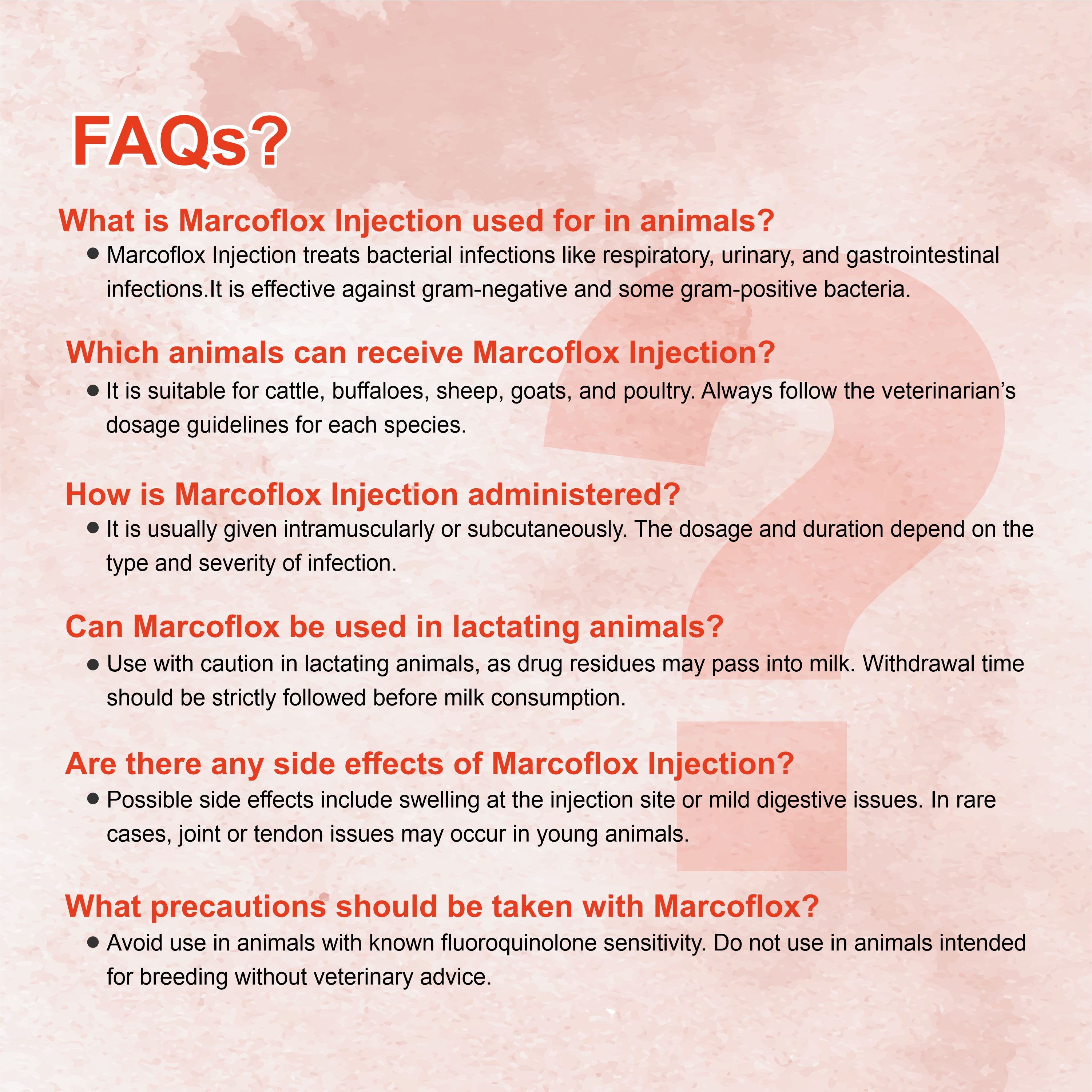 Marc Marcoflox Injection 100ml – Trusted Enrofloxacin Antibiotic for Powerful Veterinary Infection Control