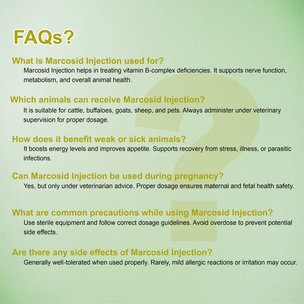 Marcosid Injection 100ml – Powerful B-Complex Support for Energy, Nerve & Muscle Health in Livestock