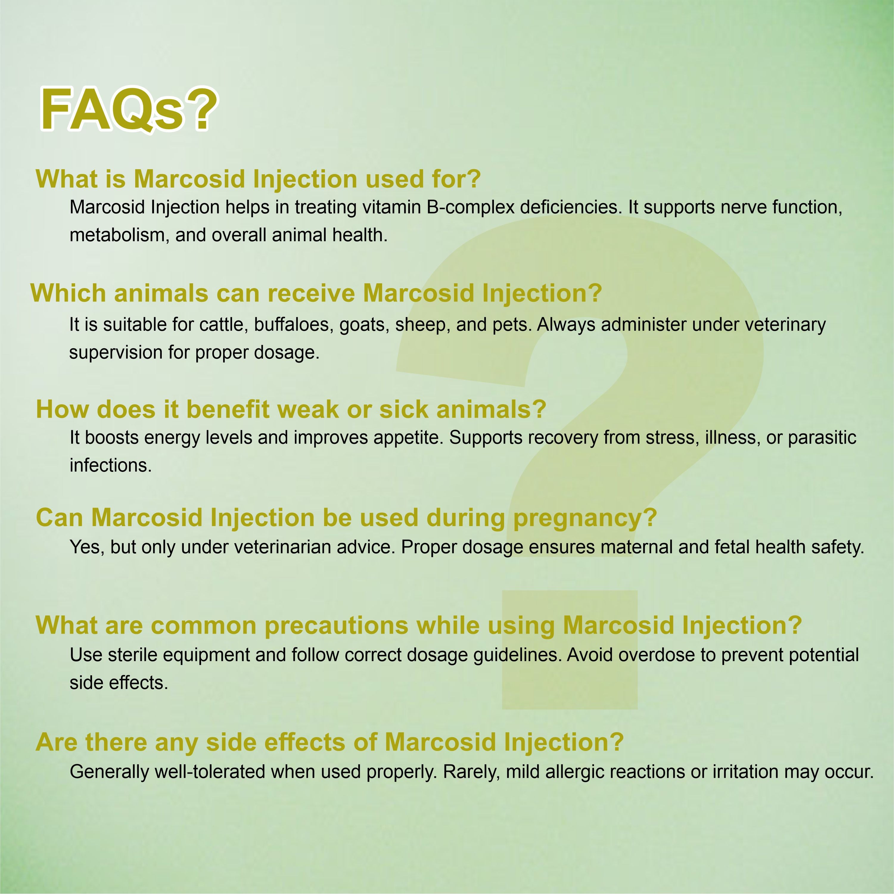 Marcosid Injection 100ml – Powerful B-Complex Support for Energy, Nerve & Muscle Health in Livestock