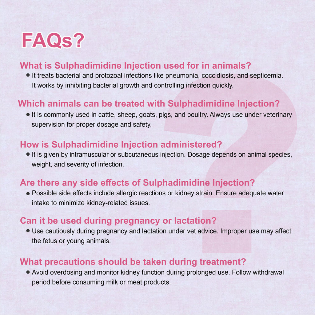 Sulphadimidine Injection 100ml  – Trusted Antibacterial & Antiprotozoal Solution for Livestock