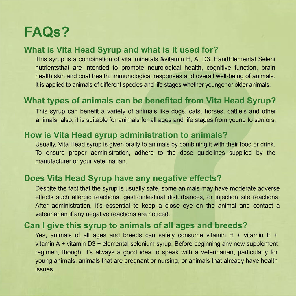 Vita Head Syrup 60ml – Nutritional Veterinary Supplement for Livestock (Pack of 2)