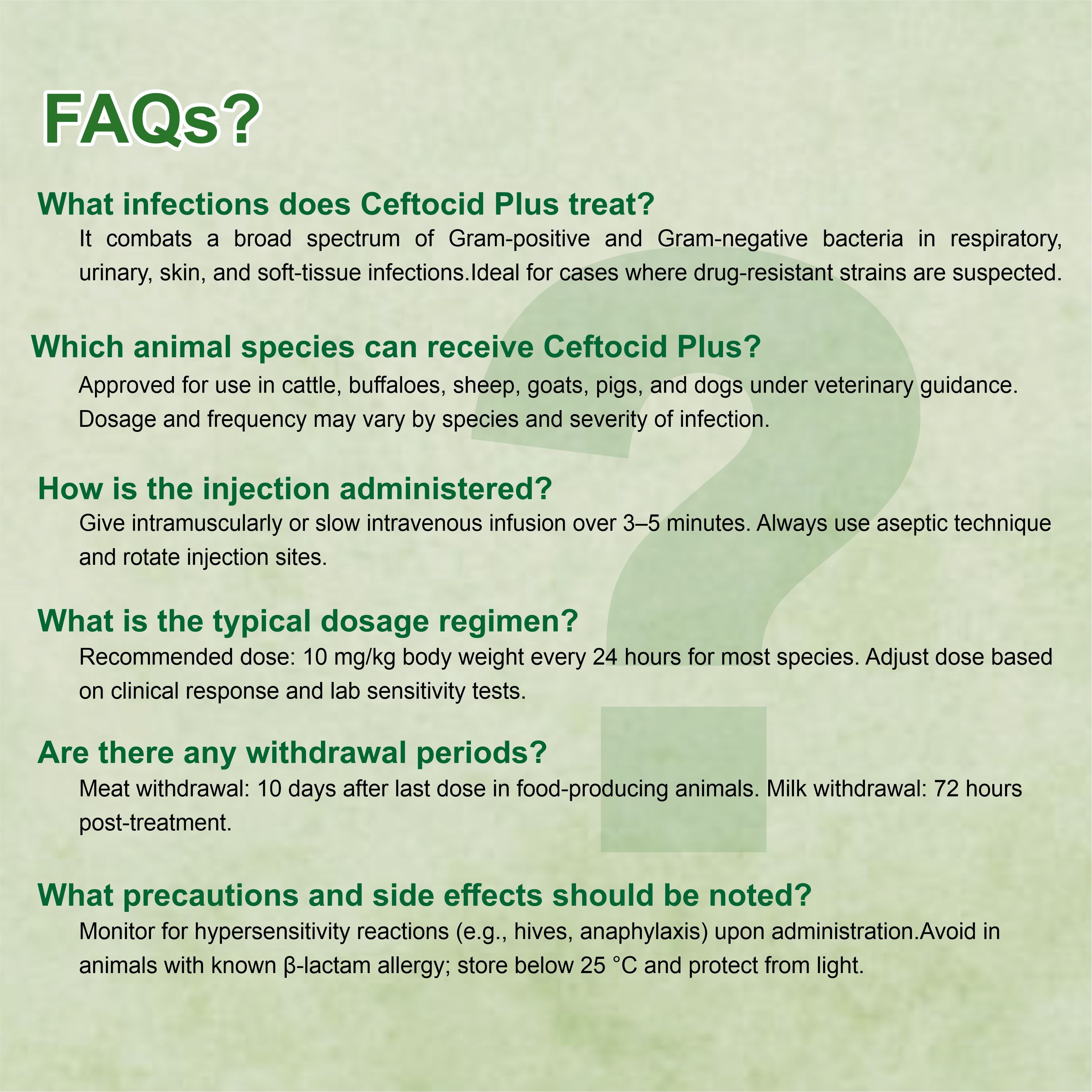 Ceftocid Plus Injection 100ml – Potent Broad-Spectrum Antibiotic for Severe Livestock Infections