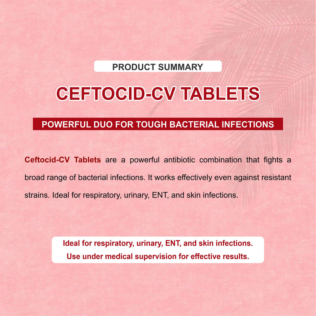 Ceftocid CV Tablets – Strong Protection Against Tough Infections(1Box)