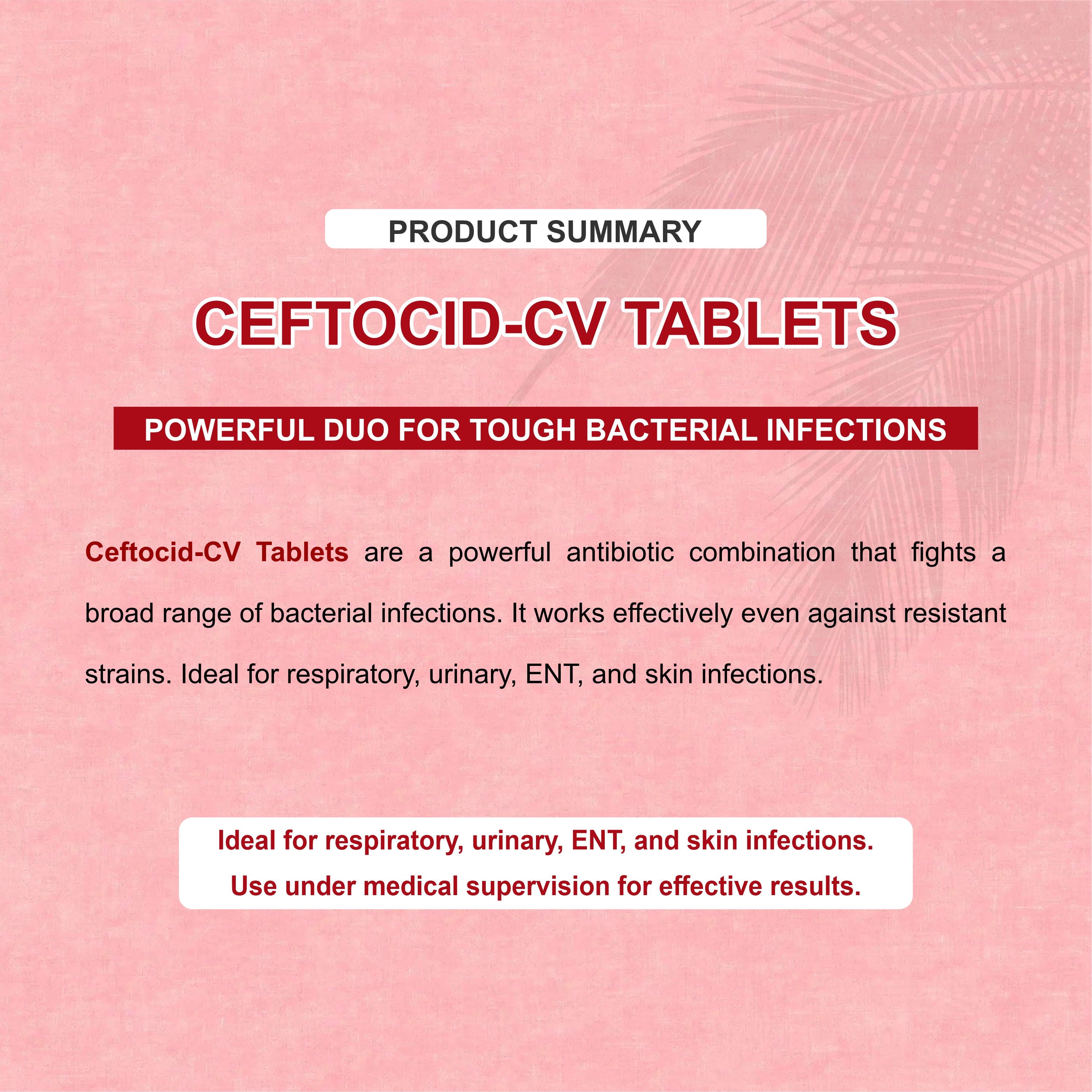Ceftocid CV Tablets – Strong Protection Against Tough Infections(1Box)