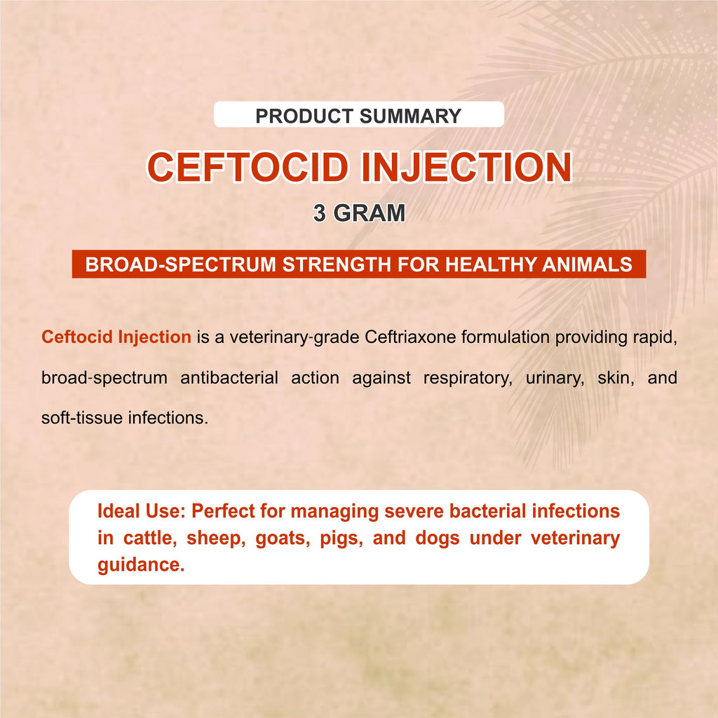 Ceftocid Injection 3GM – Broad Spectrum Ceftriaxone Antibiotic for Livestock Infections