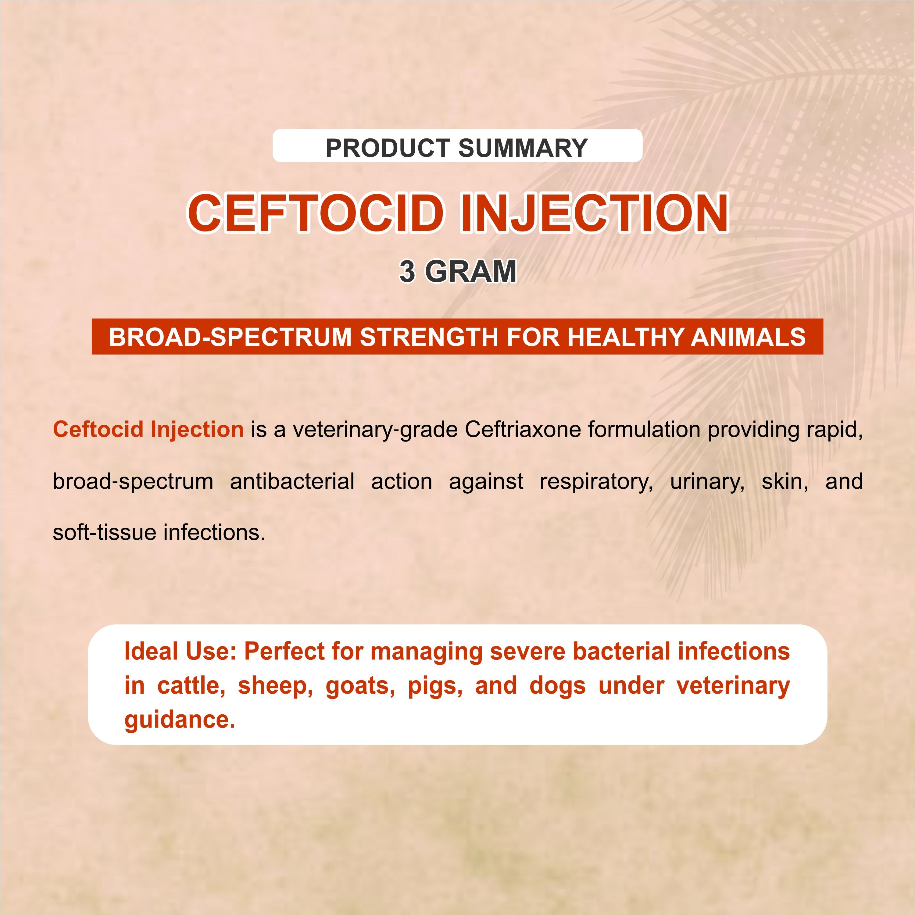 Ceftocid Injection 3GM – Broad Spectrum Ceftriaxone Antibiotic for Livestock Infections