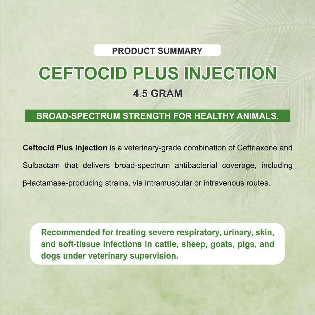 Cloxam Injection 2Gm – Fast-Acting Injectable Antibiotic for Livestock Health (Pack of 3)