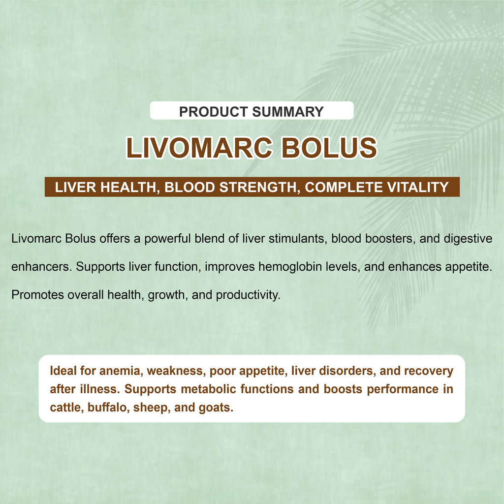 Marc Livomarc Bolus – Veterinary Liver Tonic & Digestive Supplement for Cattle, Buffaloes, Goats & Sheep