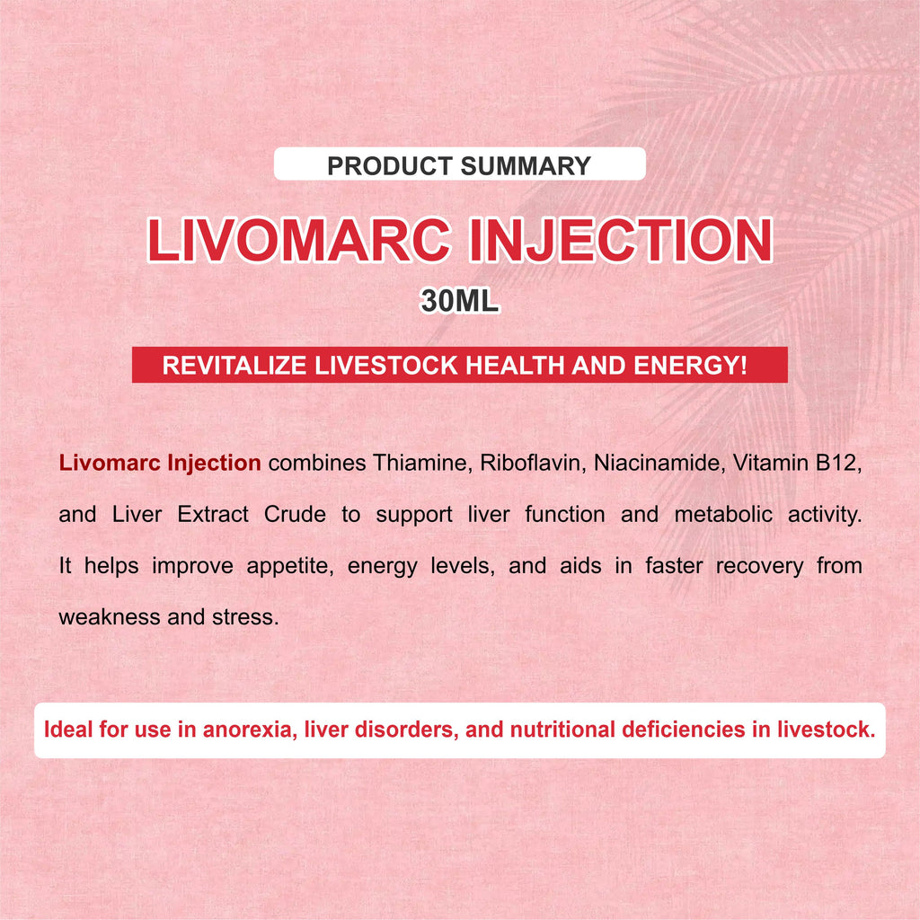 Marc Livomarc Injection 100ml – Complete Liver Tonic & Vitality Booster for Livestock (Pack of 2)