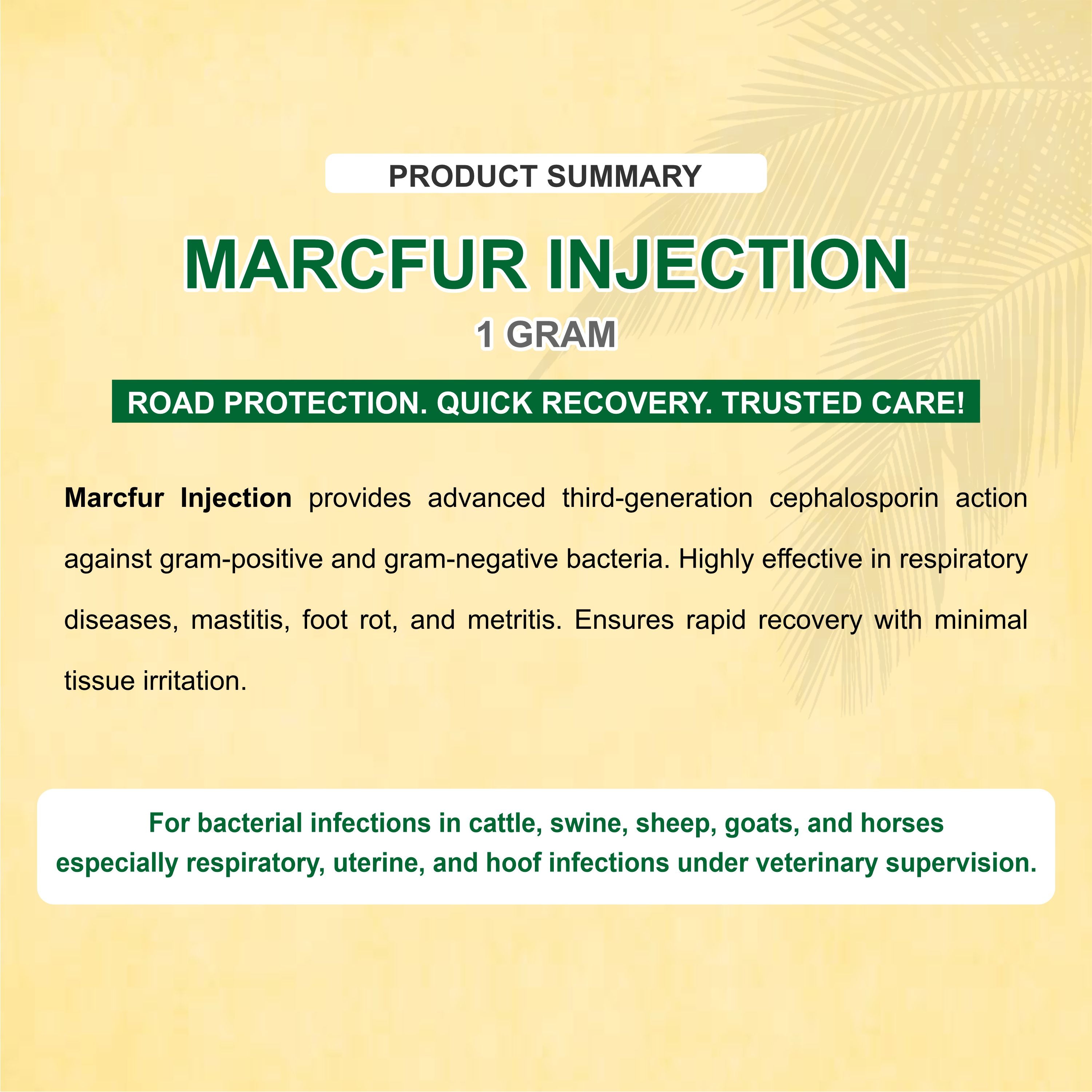 Marcfur Injection 1Gm – Powerful Broad-Spectrum Veterinary Antibiotic with Ceftiofur