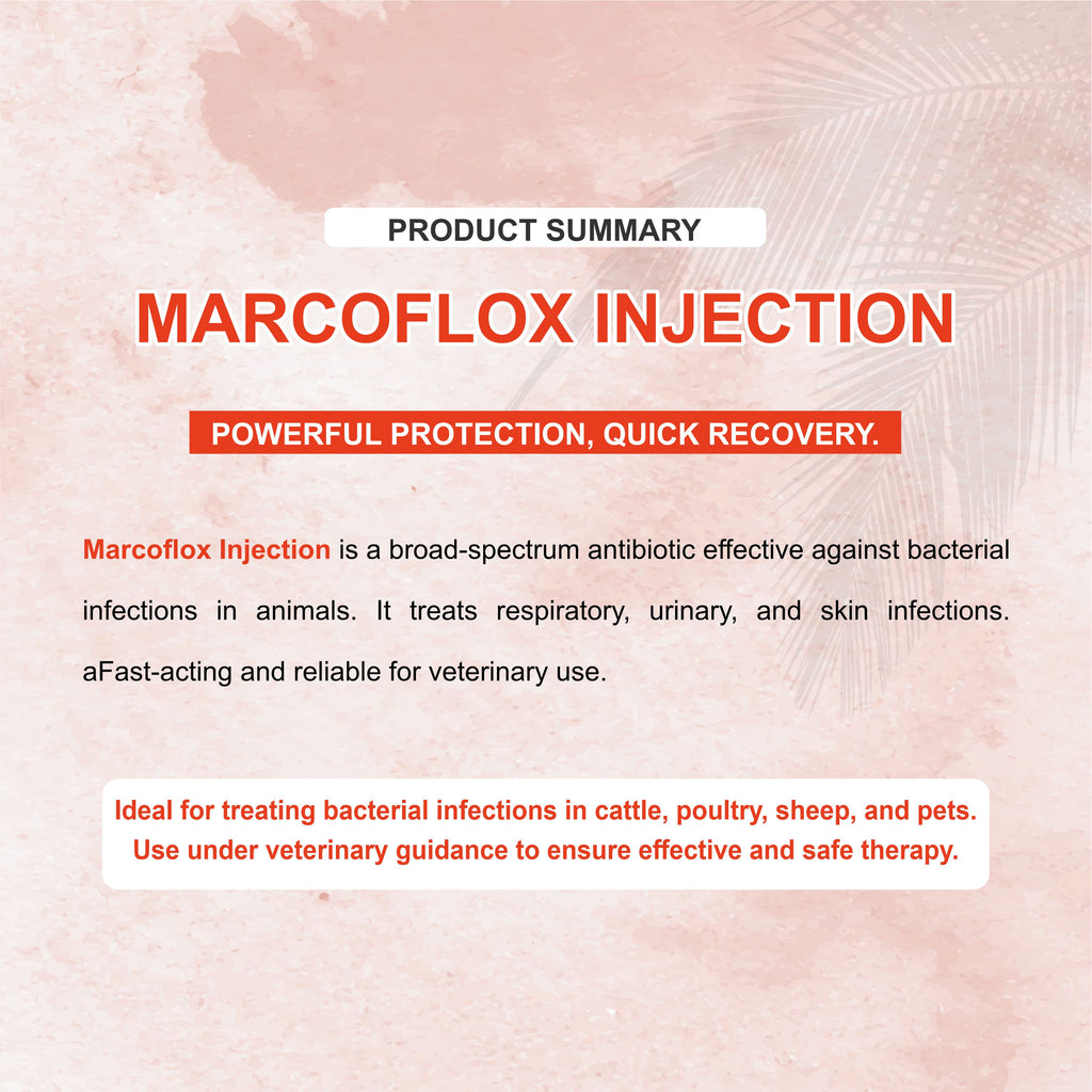 Marc Marcoflox Injection 100ml – Trusted Enrofloxacin Antibiotic for Powerful Veterinary Infection Control