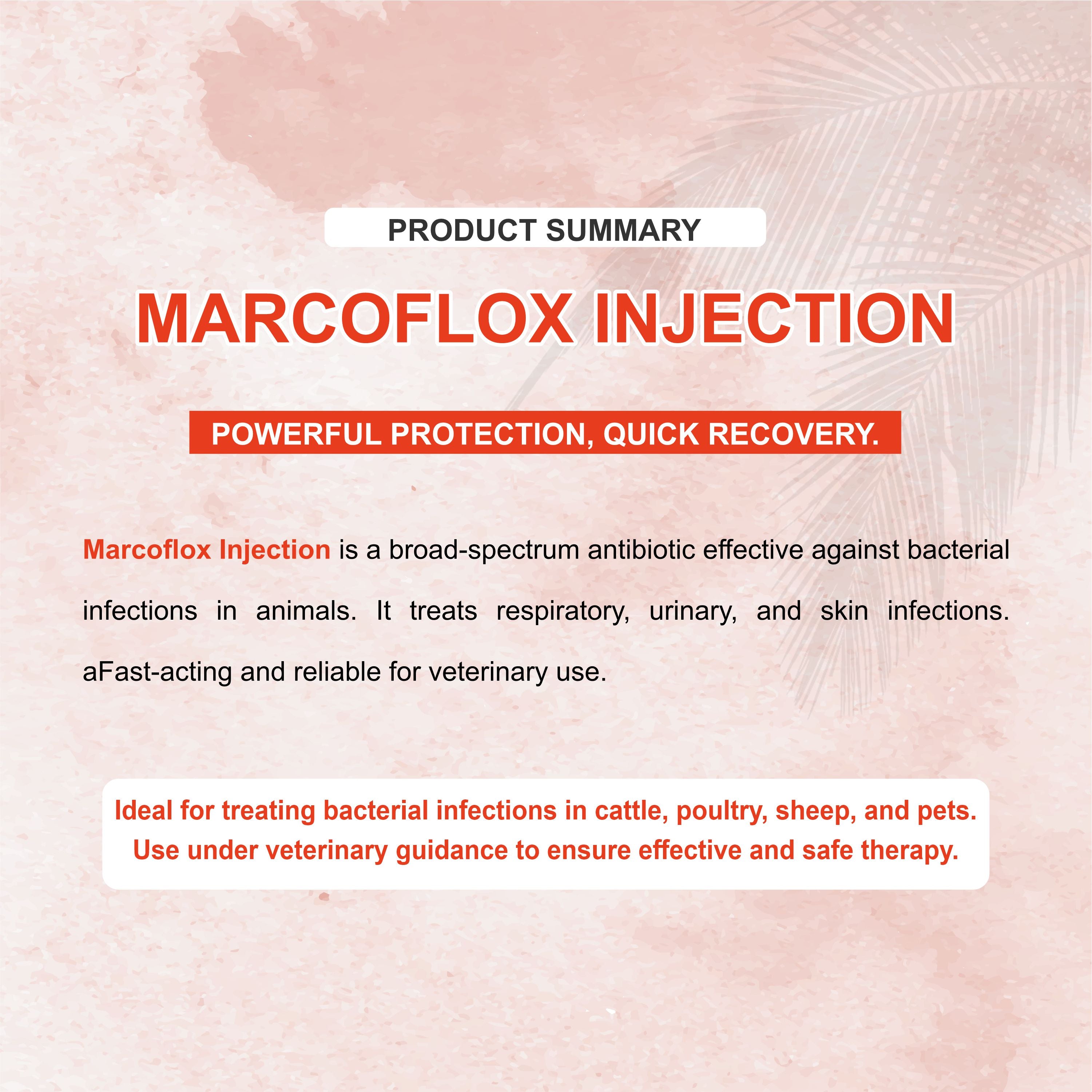 Marc Marcoflox Injection 100ml – Trusted Enrofloxacin Antibiotic for Powerful Veterinary Infection Control