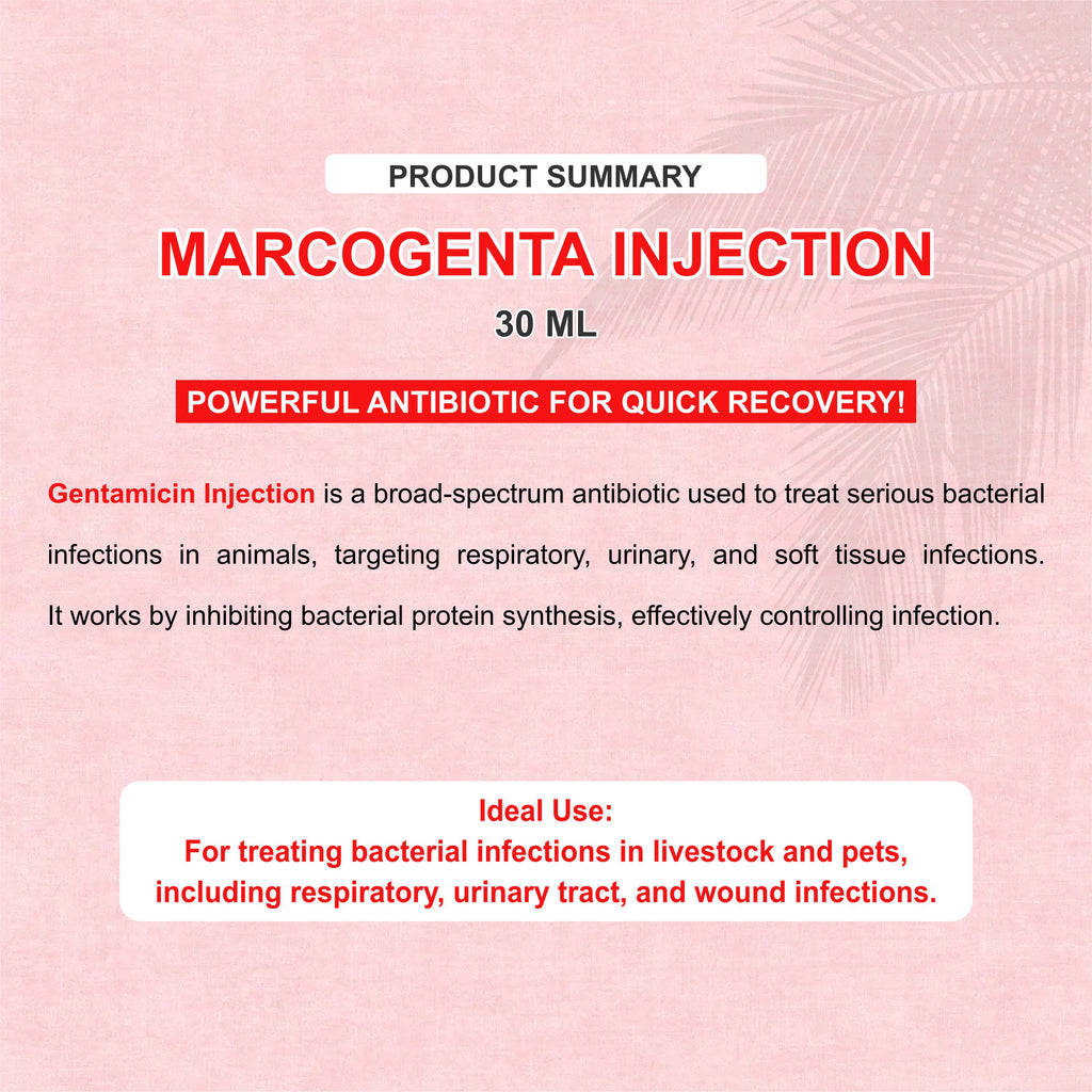 Marcogenta Injection 100ml – Trusted Gentamicin Antibiotic for Livestock Infections