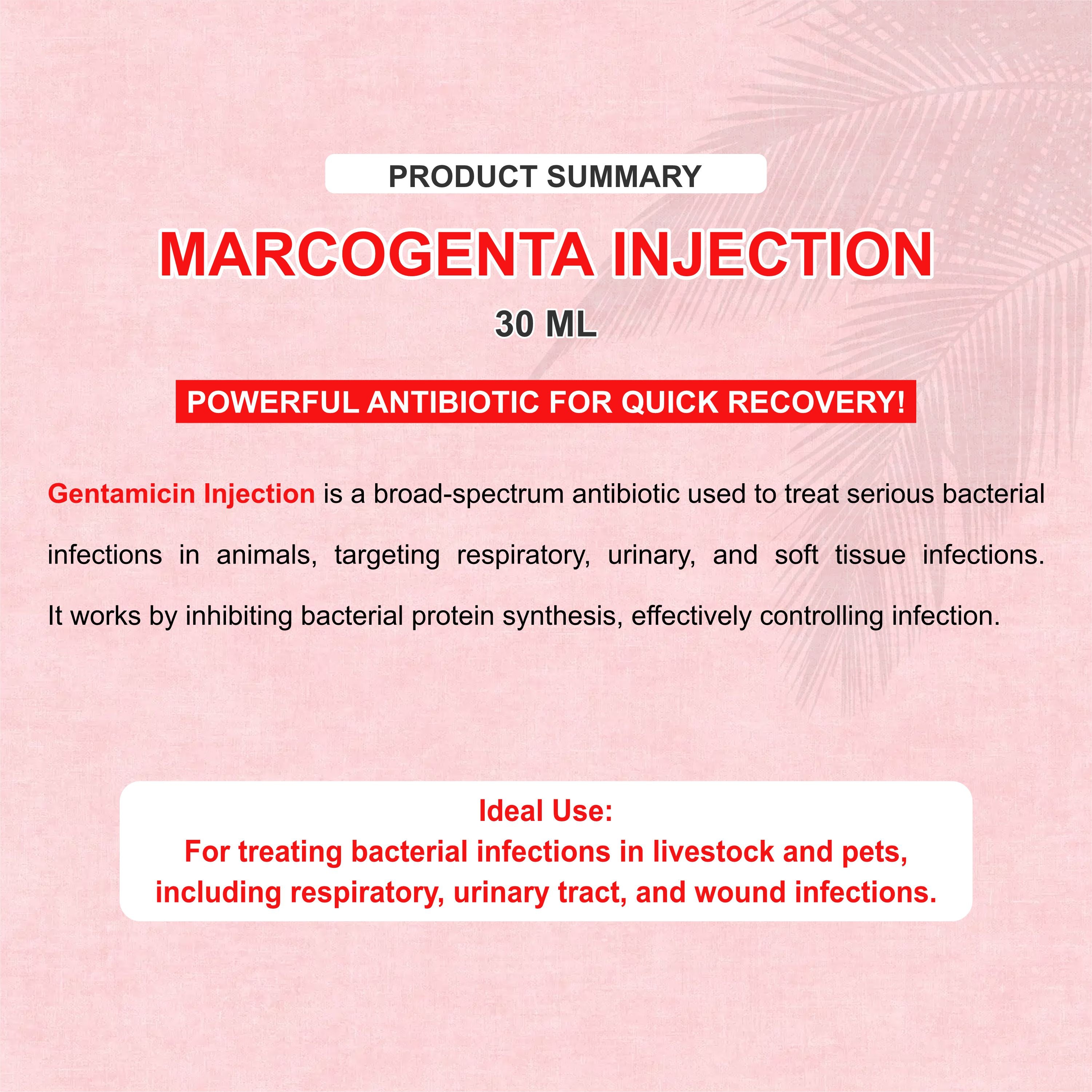 Marcogenta Injection 100ml – Trusted Gentamicin Antibiotic for Livestock Infections