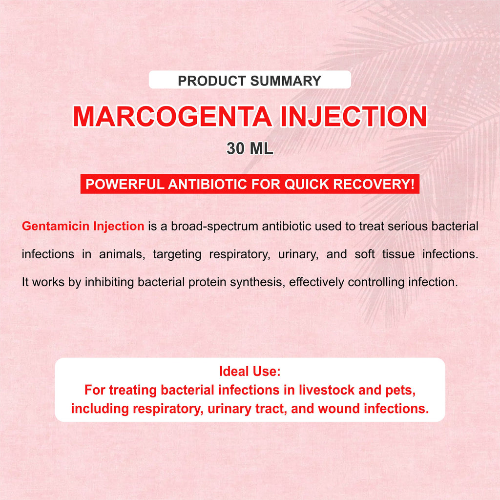 Marcogenta Injection 30ml – Trusted Gentamicin Antibiotic for Livestock Infections