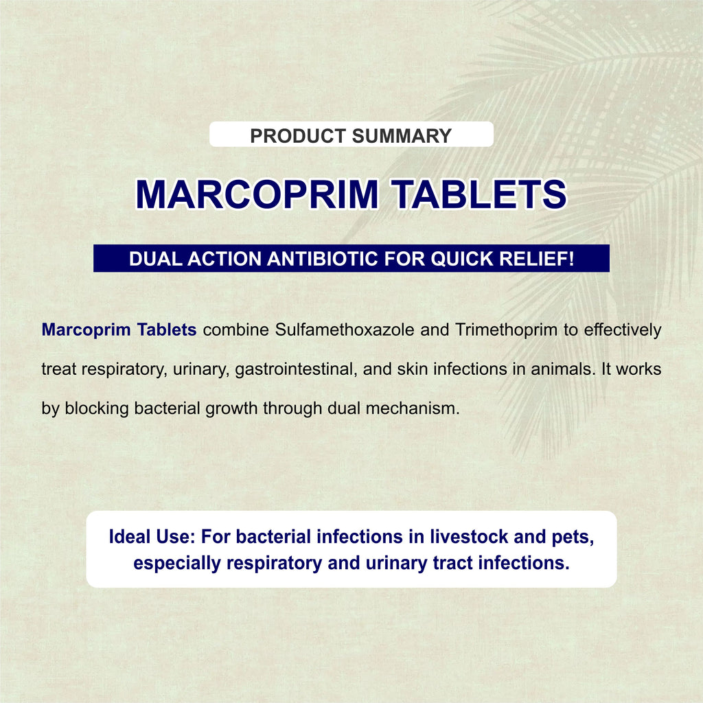Marc Marcoprim Bolus – Broad-Spectrum Veterinary Antibiotic