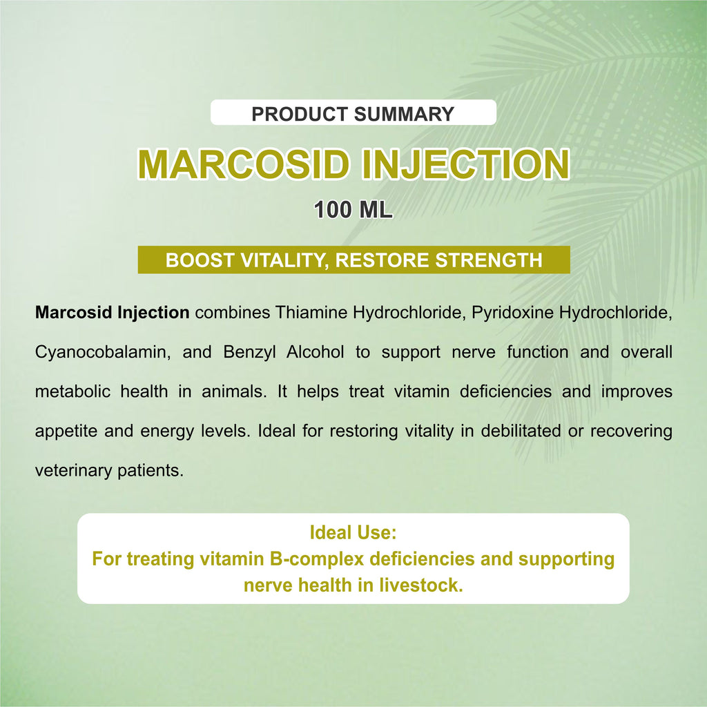 Marcosid Injection 100ml – Powerful B-Complex Support for Energy, Nerve & Muscle Health in Livestock