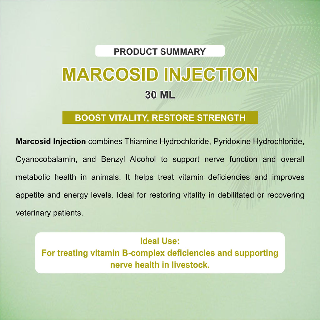Marcosid Injection 30ml – Powerful B-Complex Support for Energy, Nerve & Muscle Health in Livestock (Pack of 3)