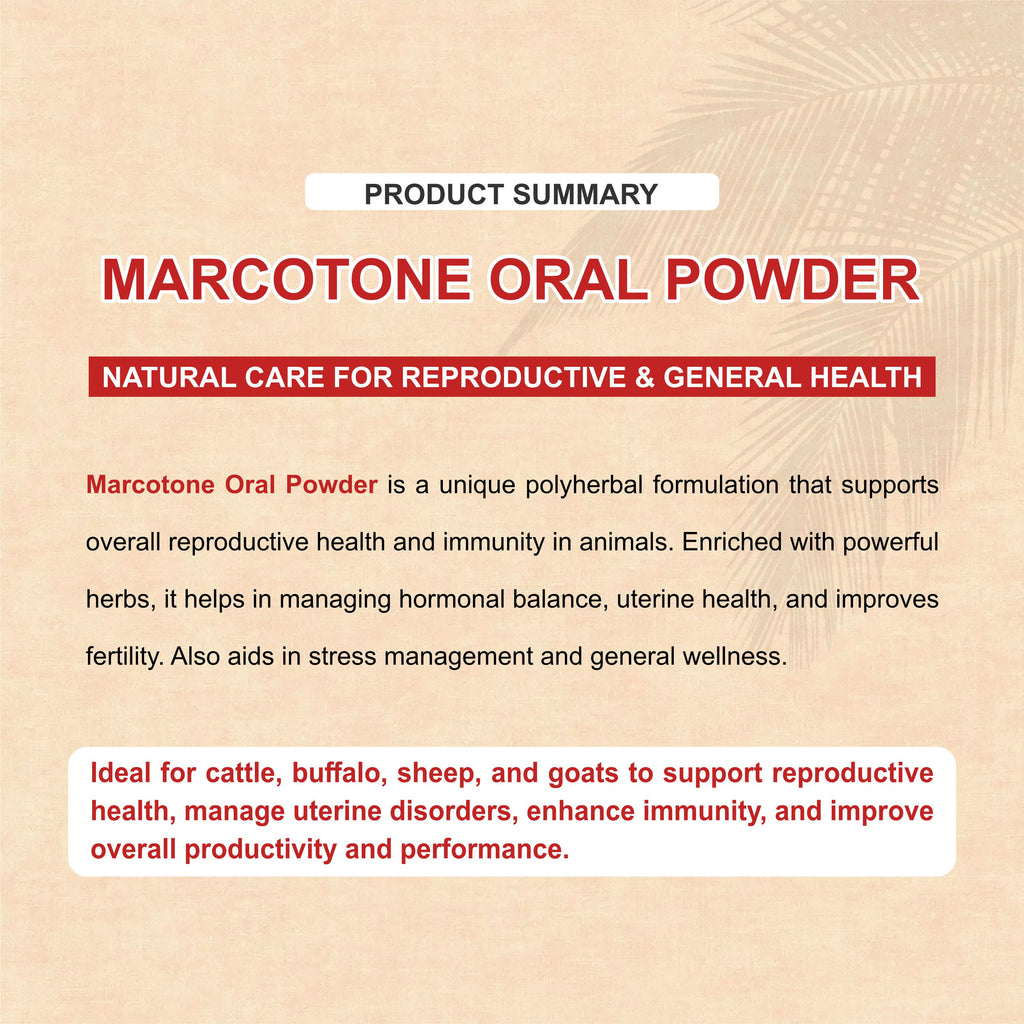 Marcotone Oral Powder – Natural Liver & Immunity Support for Livestock