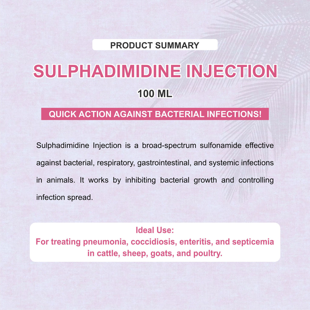 Sulphadimidine Injection 100ml  – Trusted Antibacterial & Antiprotozoal Solution for Livestock