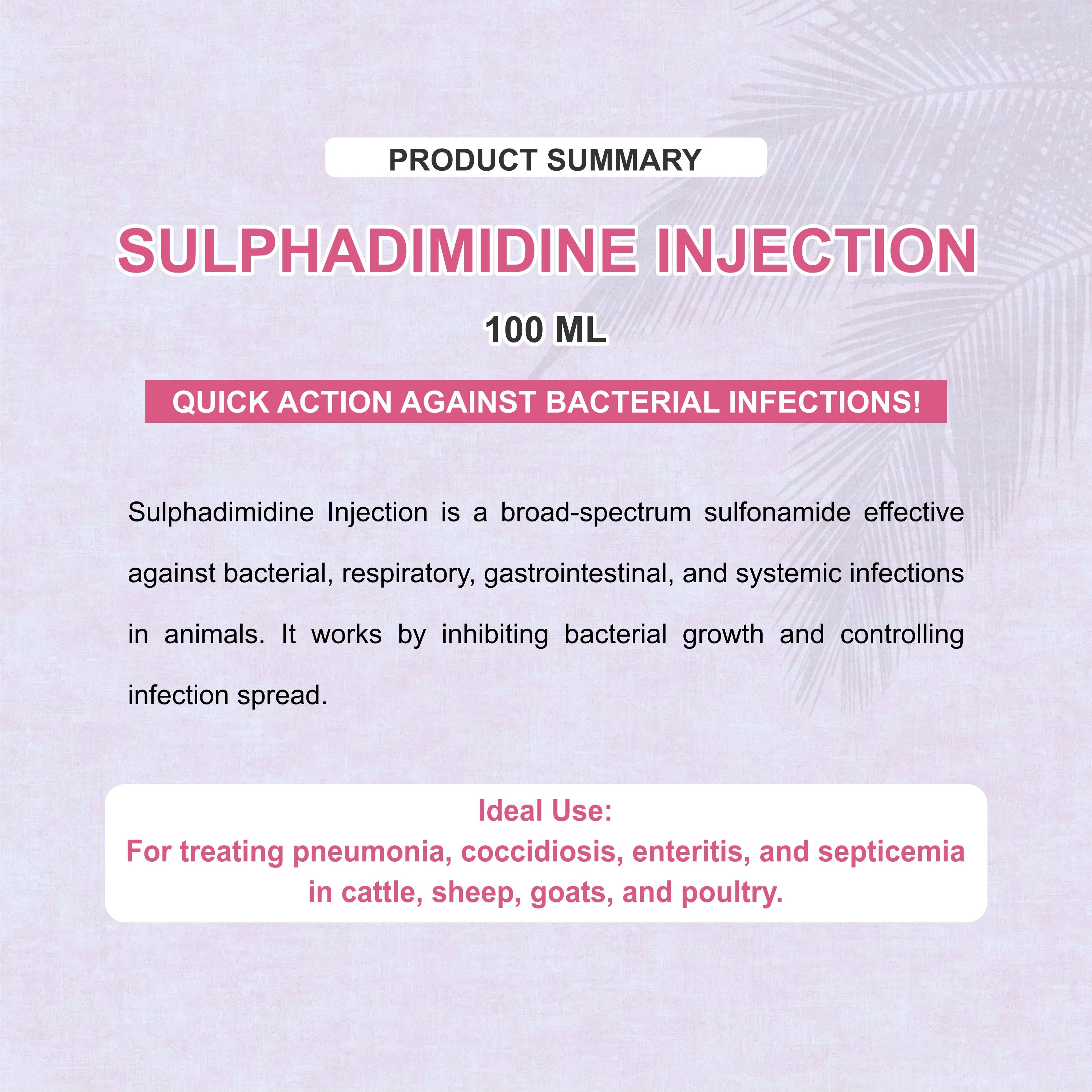 Sulphadimidine Injection 100ml  – Trusted Antibacterial & Antiprotozoal Solution for Livestock