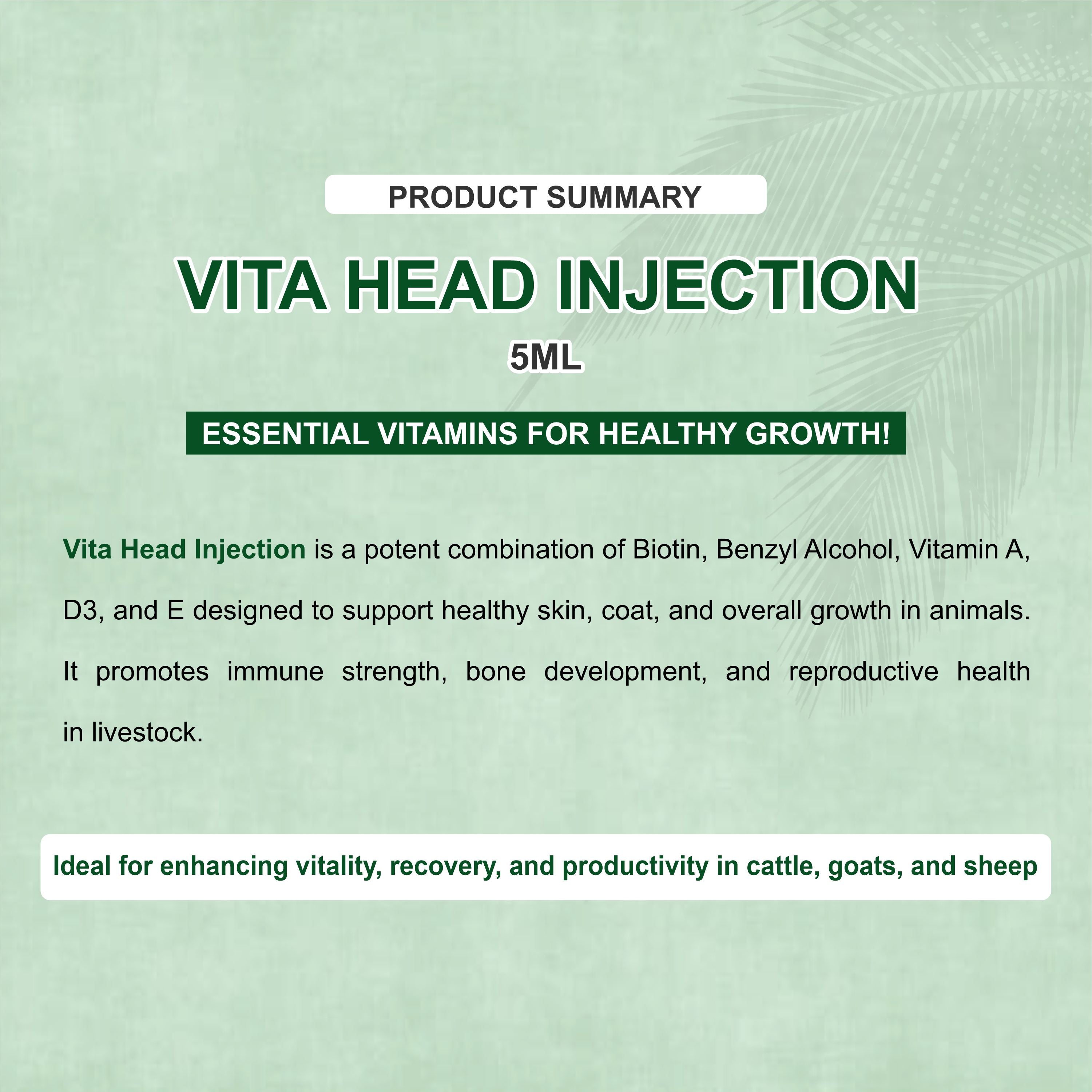 Vita Head Injection 10ml – Complete Injectable Support for Skin, Immunity & Performance in Livestock (Pack of 2)