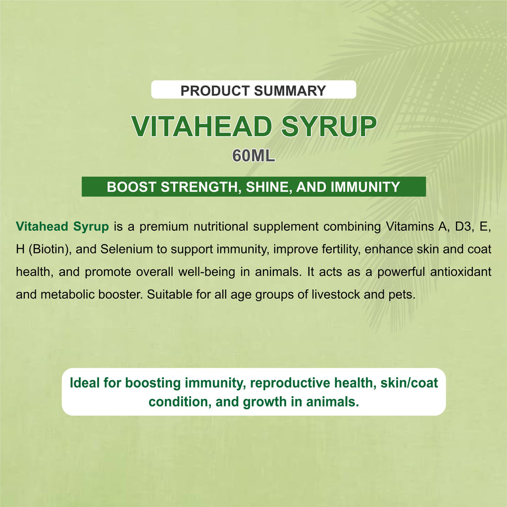 Vita Head Syrup 60ml – Nutritional Veterinary Supplement for Livestock (Pack of 2)