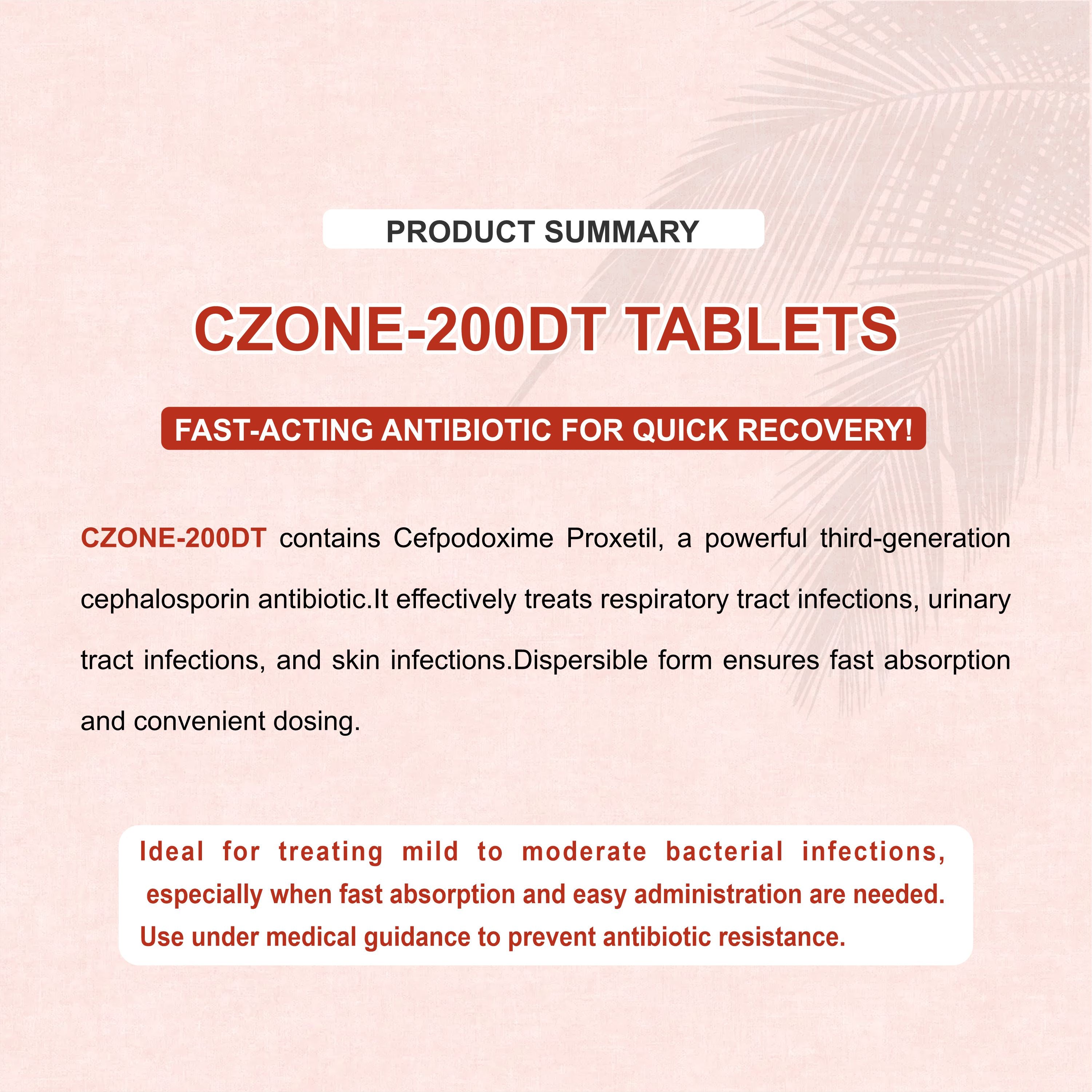 C Zone 200 DT Tablets – Fast-Acting Antibiotic for Bacterial Infections(1Box)