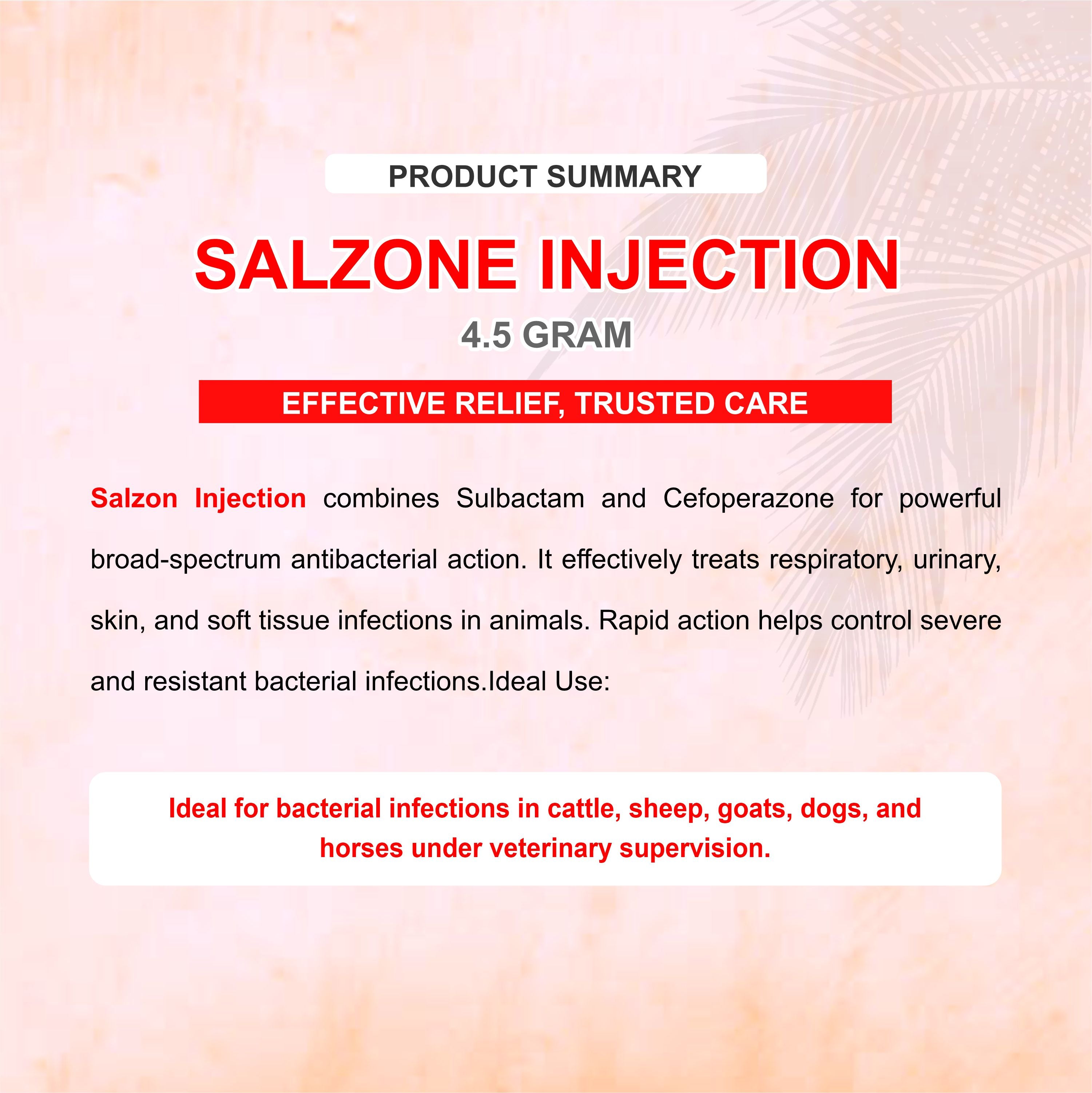 Salzone Injection 4.5GM – Cefoperazone + Sulbactam Injectable Antibiotic
