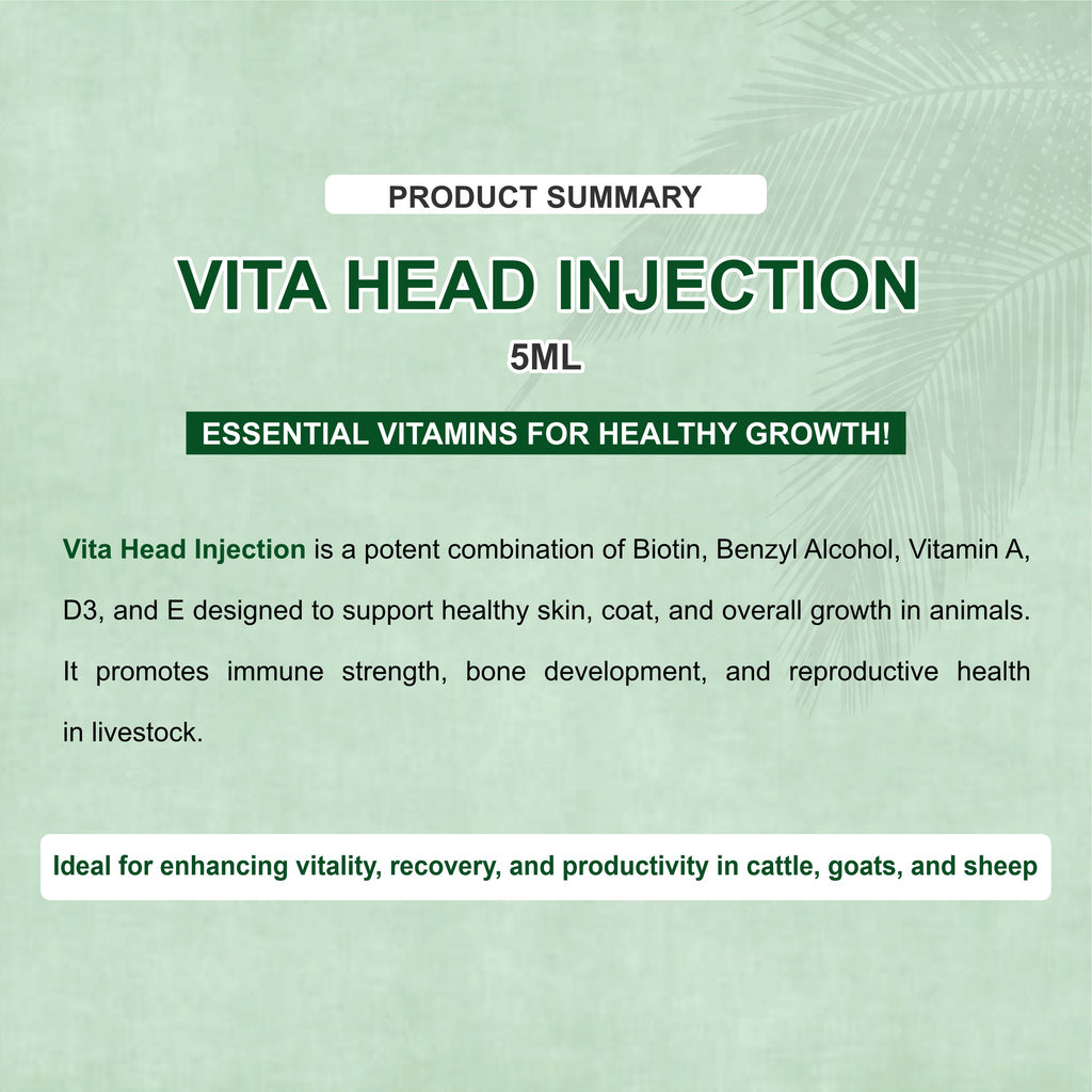 Vita Head Injection 5ml – Complete Injectable Support for Skin, Immunity & Performance in Livestock (Pack of 4)