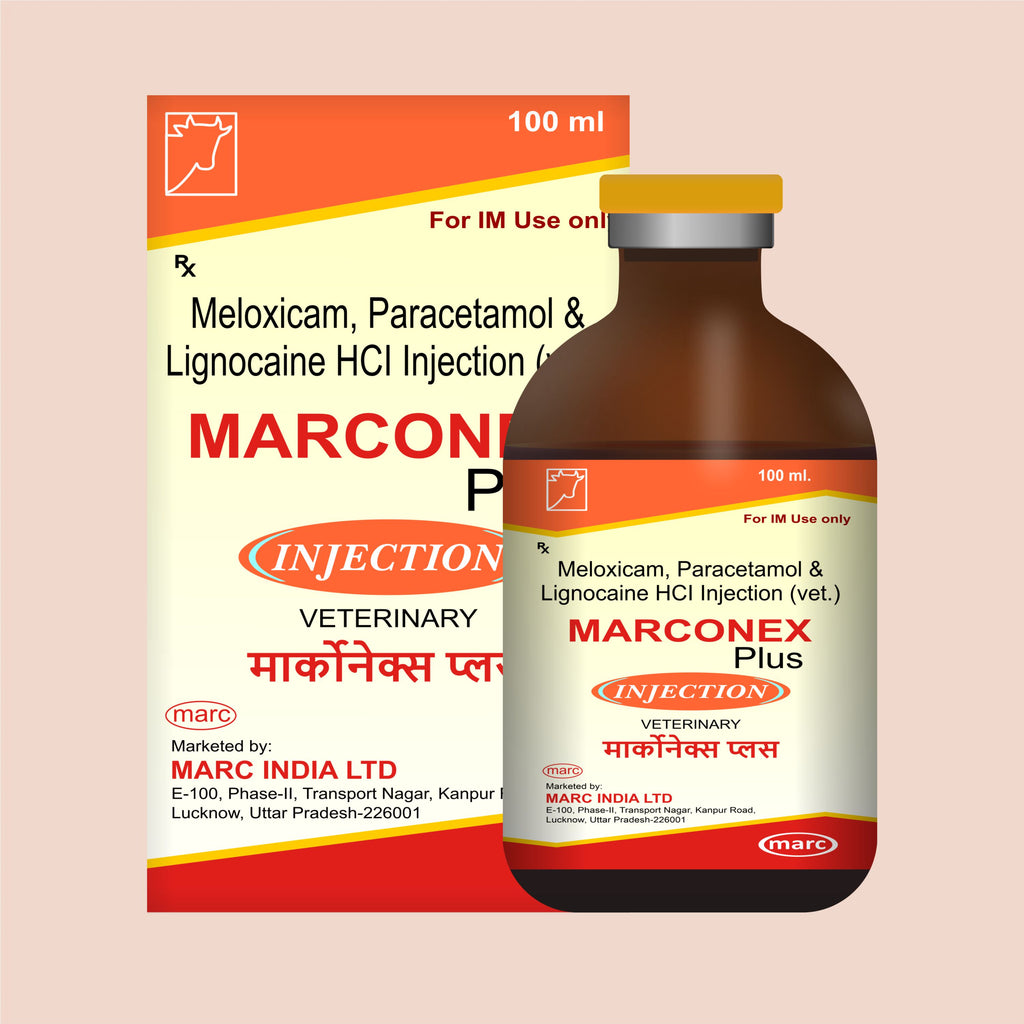 Marconex Plus Injection 100ml – Fast-Acting Veterinary Pain Relief & Anti-Inflammatory for Livestock & Pets (Pack of 2)