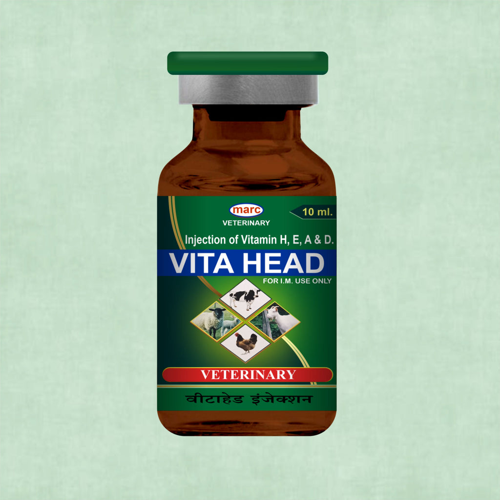 Vita Head Injection 10ml – Complete Injectable Support for Skin, Immunity & Performance in Livestock (Pack of 2)
