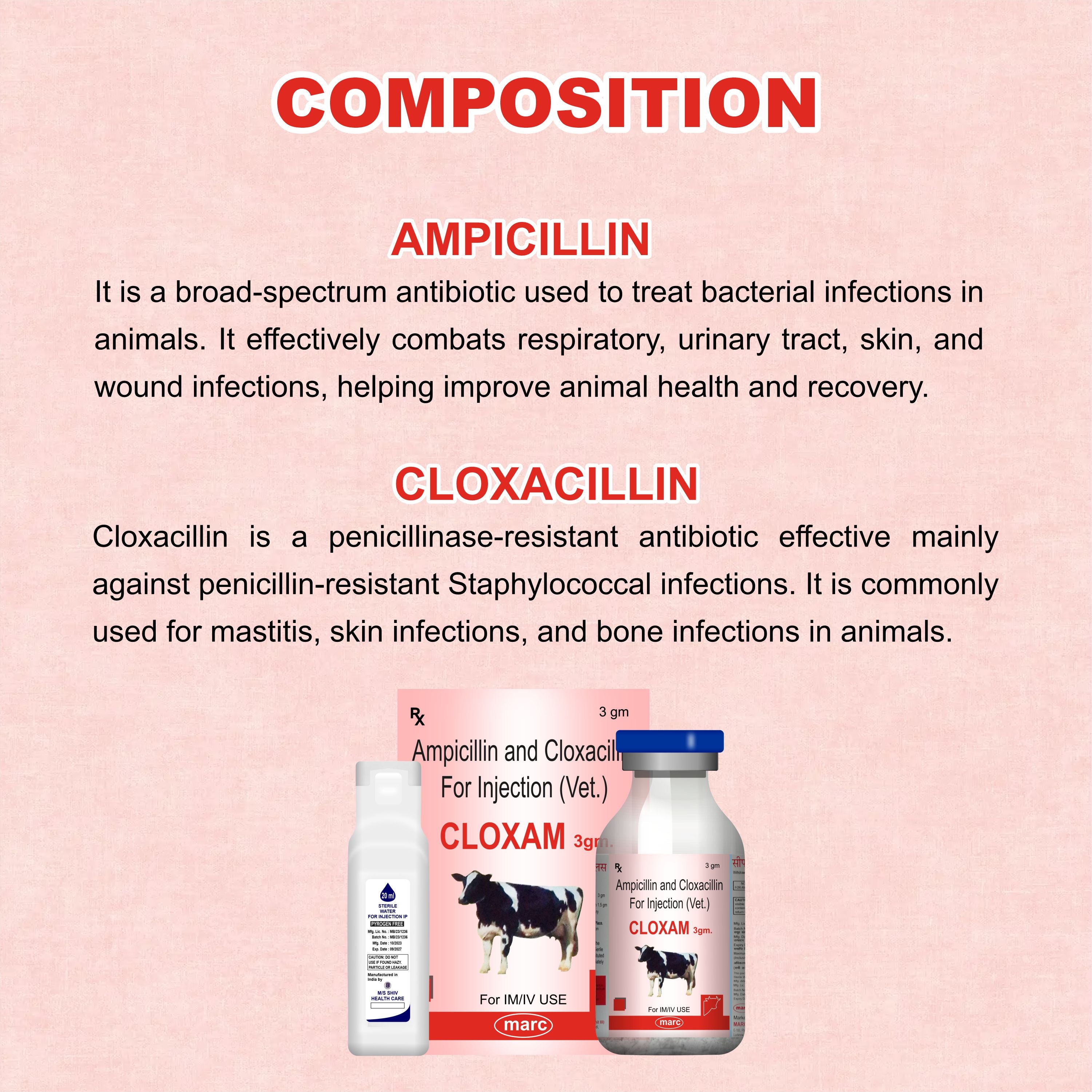 Cloxam Injection 3Gm – Fast-Acting Injectable Antibiotic for Livestock Health (Pack of 3)