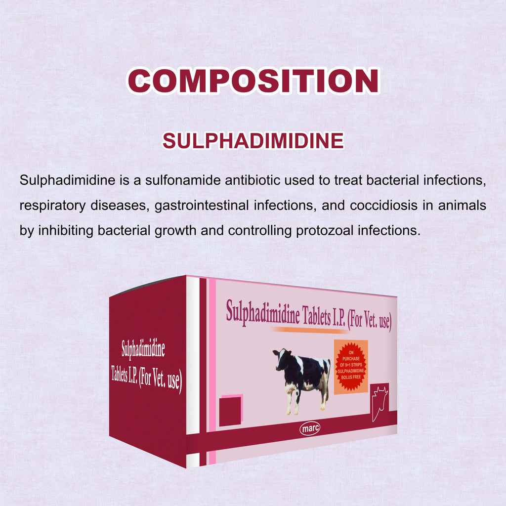 Marc Sulphadimidine Bolus – Broad-Spectrum Antimicrobial for Livestock
