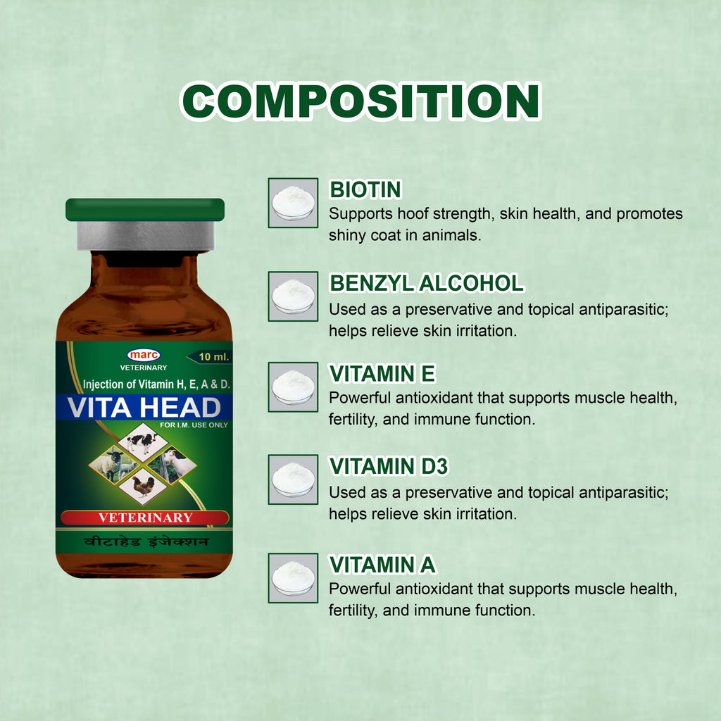 Vita Head Injection 10ml – Complete Injectable Support for Skin, Immunity & Performance in Livestock (Pack of 2)