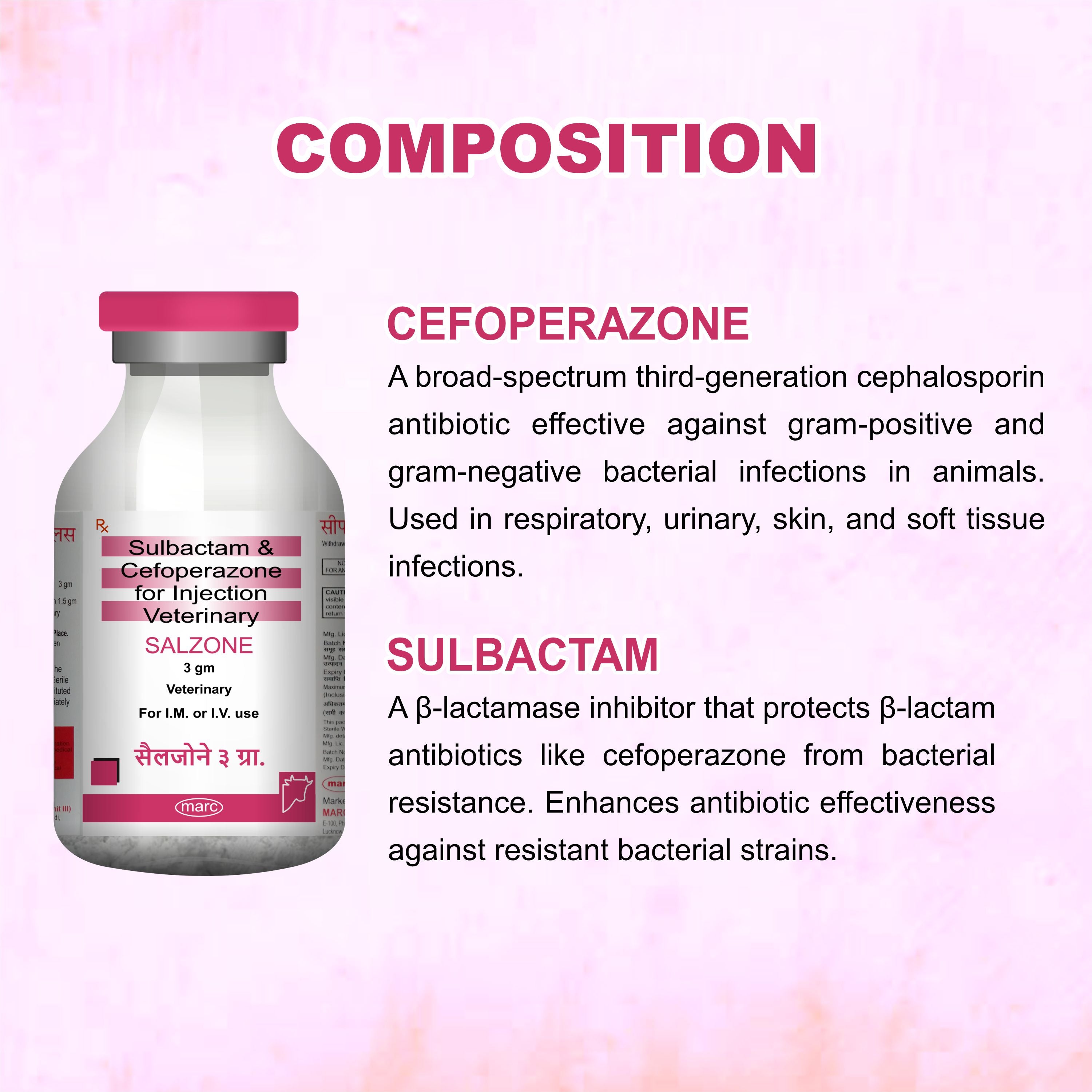 Salzone Injection 3GM – Cefoperazone + Sulbactam Injectable Antibiotic